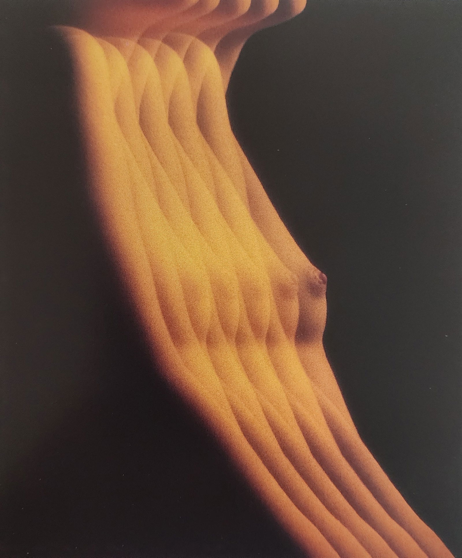 Erotique Masterpiece, 1998: Artist/Photographer: Man Ray, Marconi, Agelou, Y. Park, E. Weston, G. Riebicke, R. Koppitz, Manasse, H.P. Horst, N. Parkinson, Bill Brandt..... Title/Subject: Erotique Masterpiece Type Of Print: Authe