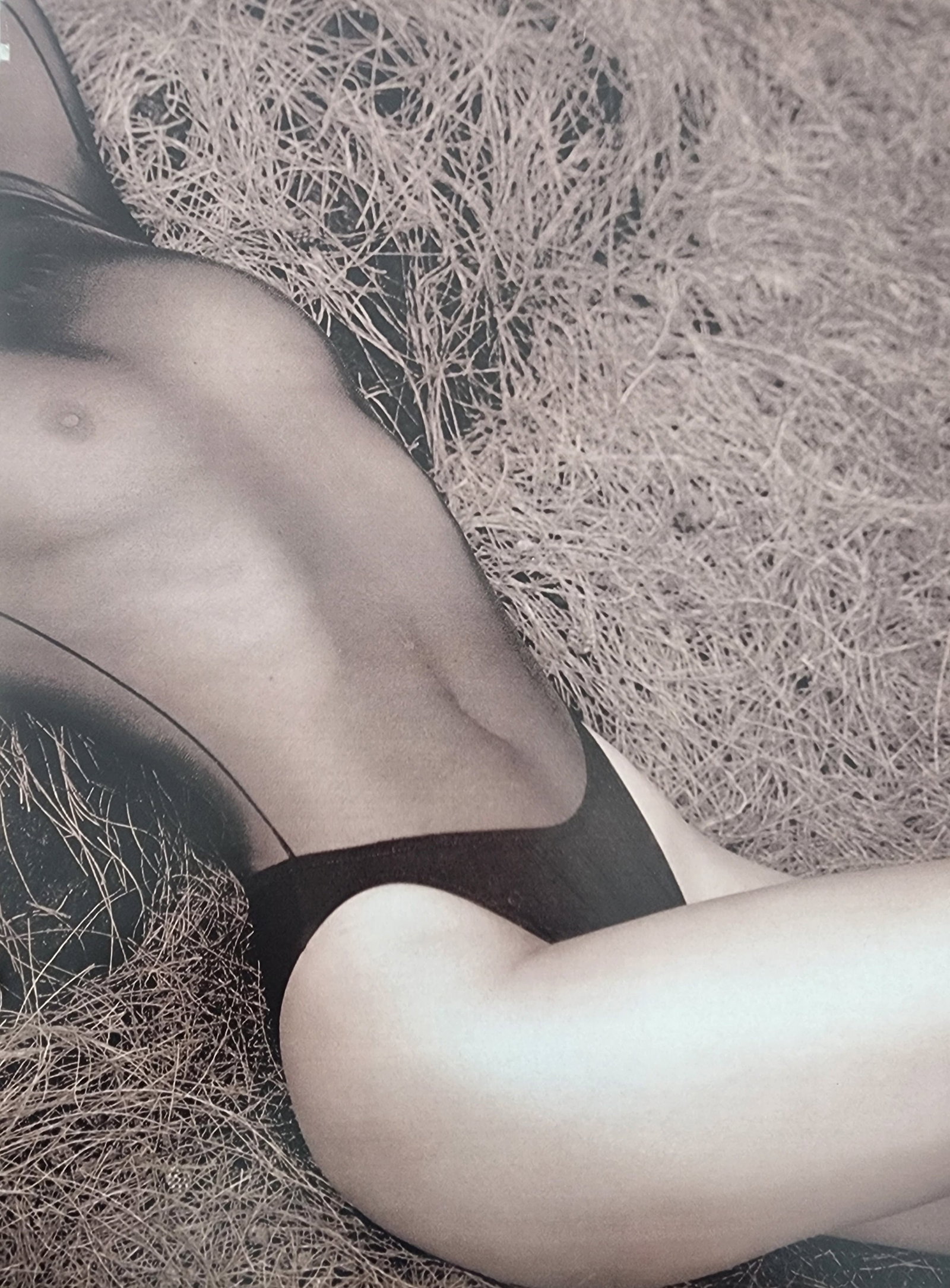 Celebrity Boudoir, 2006: Models: Pamela Anderson, Ursula Andress, kim Basinger, Barbi Benton, NAimi Kampell, Cindy Crwford, Carmen Electra, Lida Evans, Mellanie Griffith, Deborah Harry, Lauren Hutton, Madonna, Jane Mansfield,