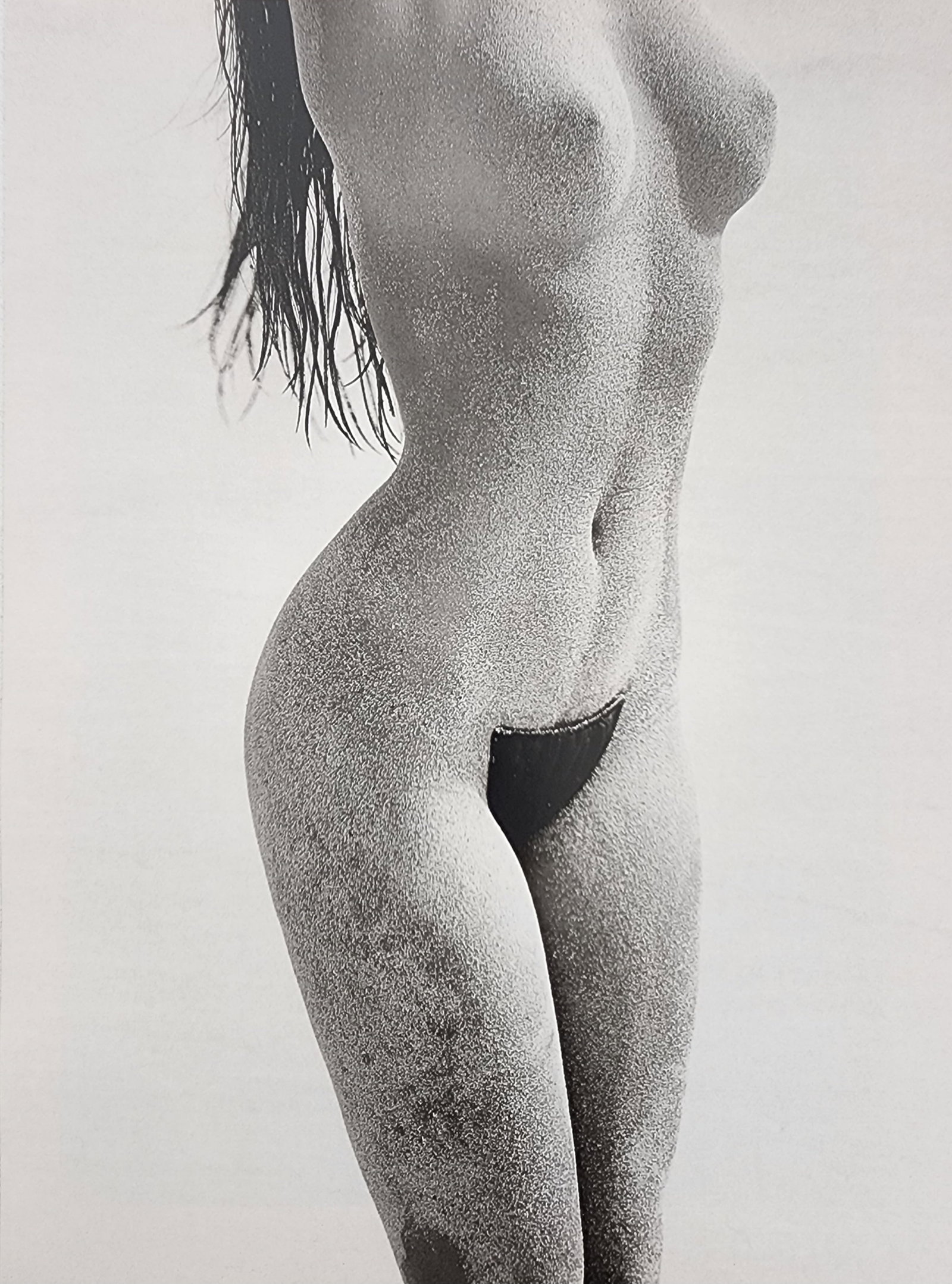 Celebrity Boudoir, 2006: Models: Pamela Anderson, Ursula Andress, kim Basinger, Barbi Benton, NAimi Kampell, Cindy Crwford, Carmen Electra, Lida Evans, Mellanie Griffith, Deborah Harry, Lauren Hutton, Madonna, Jane Mansfield,