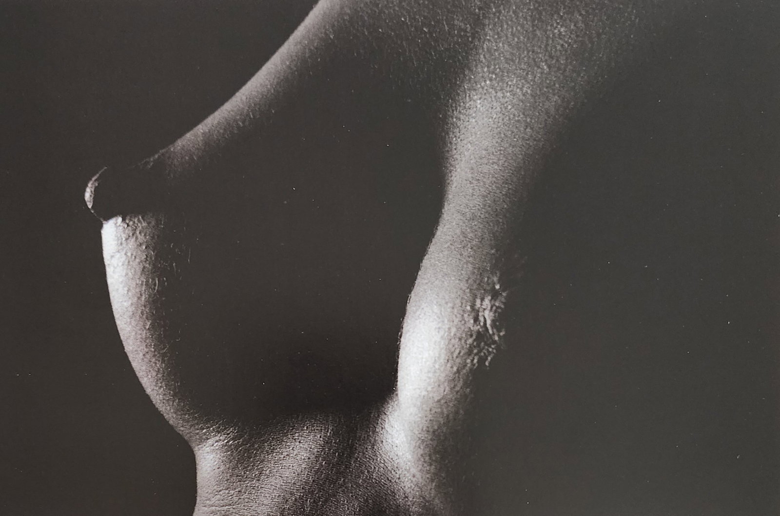 Jens Bruggemann, Female Nude, 2000: Artist/Photographer: Jens Bruggemann Title/Subject: Female Nude Type Of Print: Authentic Sheet Fed Photogravure/Heliogravure. Date Of Print: 2000 Paper: Medium weight, satin/matte finish. Print Origin