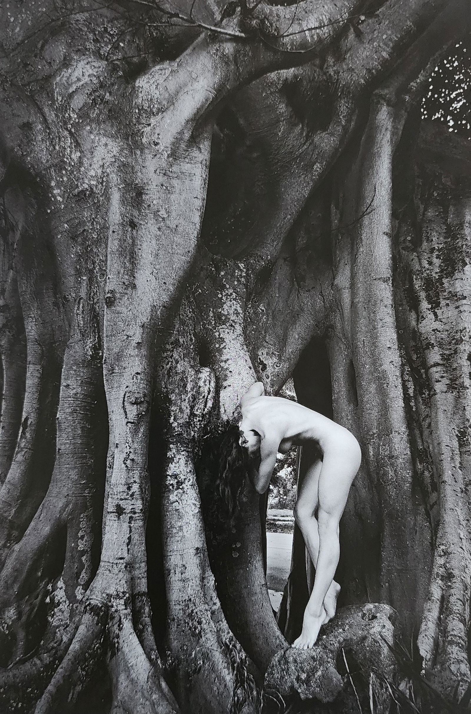 Waldemar Zagorski, Best nude contemporary, 2019: Artist/Photographer: Waldemar Zagorski Title/Subject: Best nude contemporary Type Of Print: Authentic Sheet Fed Photogravure/Heliogravure. Date Of Print: 2019 Paper: Medium weight, satin/matte finish.