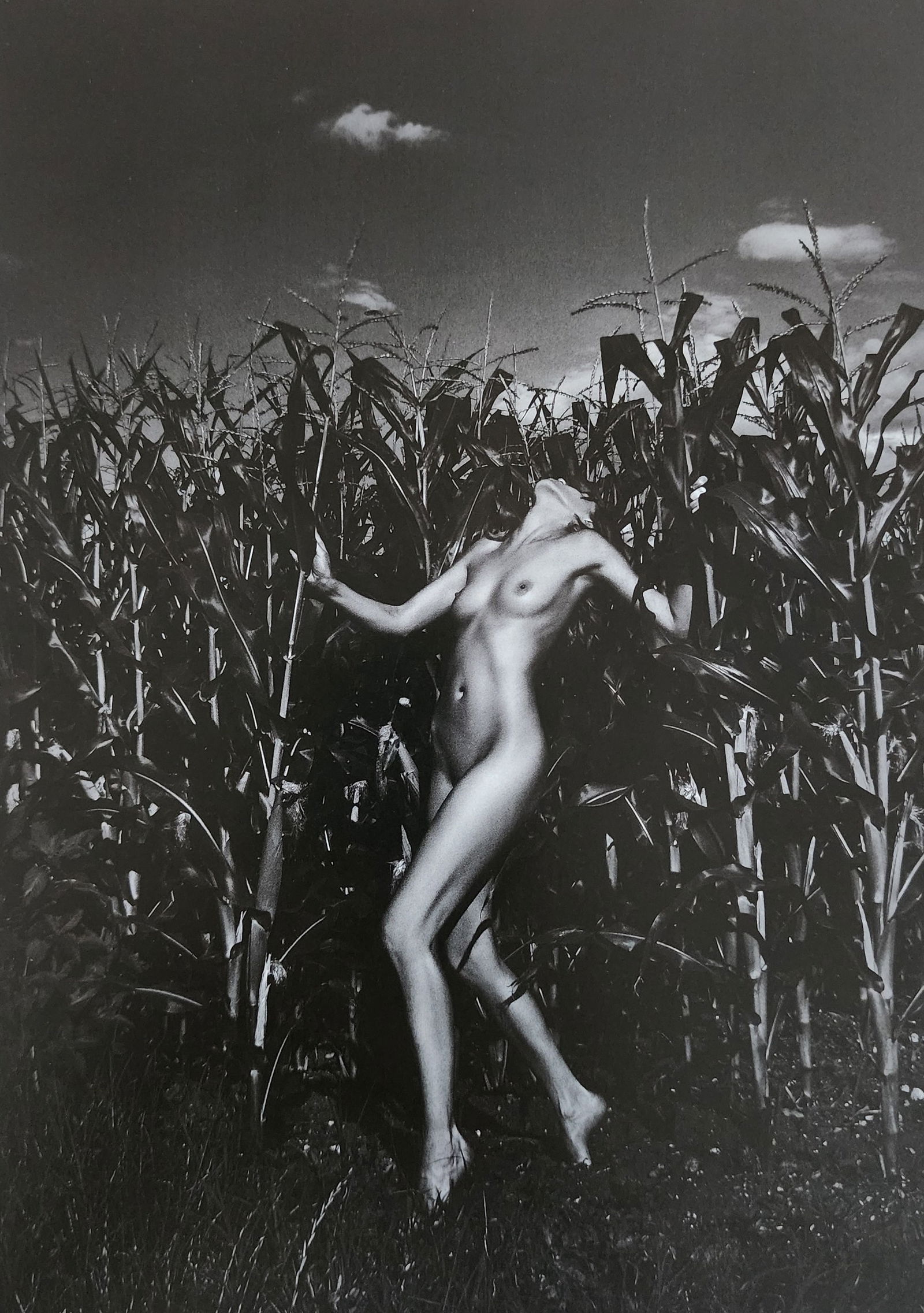 Wolfgang Prummer, Best nude contemporary, 2019: Artist/Photographer: Wolfgang Prummer, Title/Subject: Best nude contemporary Type Of Print: Authentic Sheet Fed Photogravure/Heliogravure. Date Of Print: 2019 Paper: Medium weight, satin/matte finish.