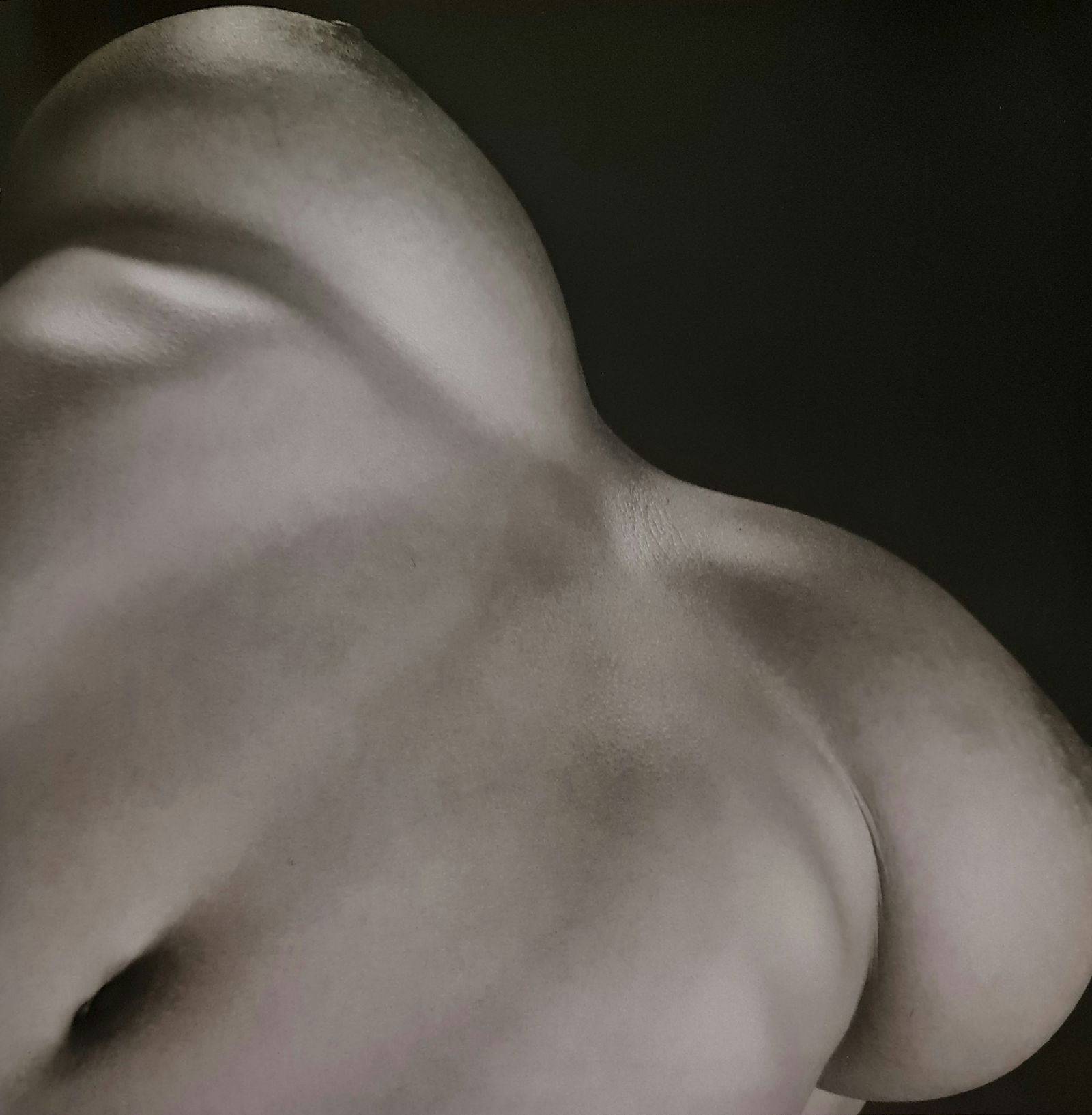 Robert Mapplethorpe, Breasts, 1987: Photographer: Robert Michael Mapplethorpe (1946-1989) was an American photographer, best known for his black-and-white photographs. His work featured an array of subjects, including celebrity portrait