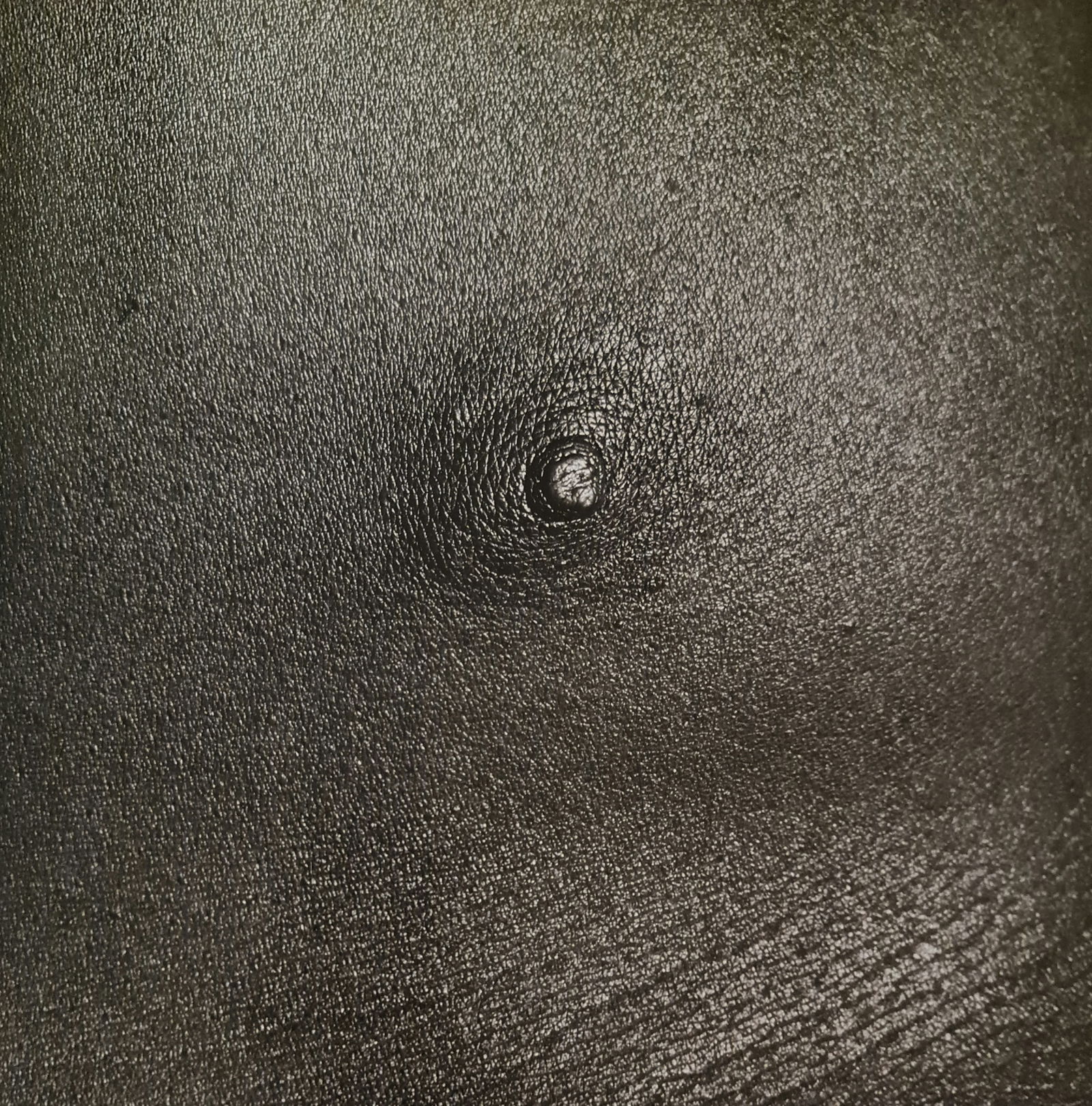Robert Mapplethorpe, Nipple, 1988: Photographer: Robert Michael Mapplethorpe (1946-1989) was an American photographer, best known for his black-and-white photographs. His work featured an array of subjects, including celebrity portrait
