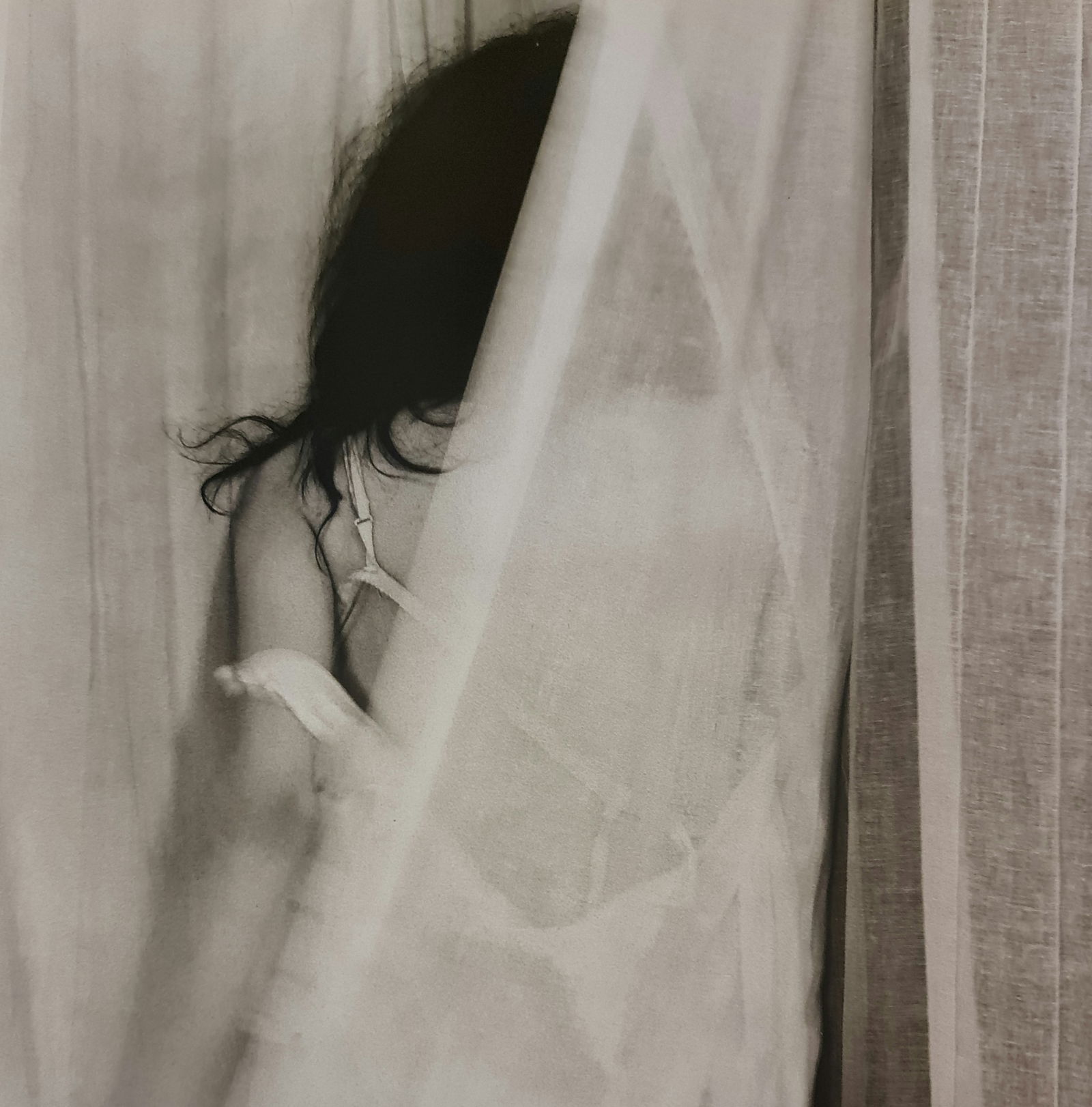 Robert Mapplethorpe, Patti Smith, 1978: Photographer: Robert Michael Mapplethorpe (1946-1989) was an American photographer, best known for his black-and-white photographs. His work featured an array of subjects, including celebrity portrait