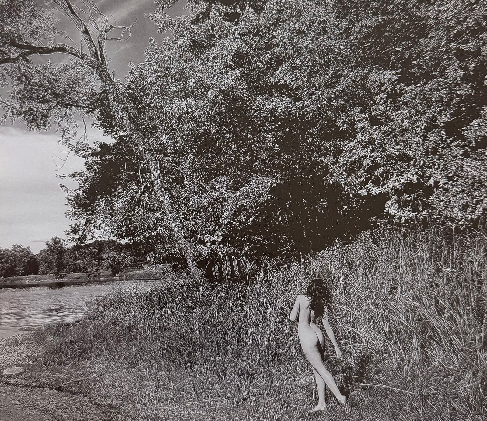 Beauty of Minnesota, 2012 (1 of 1)