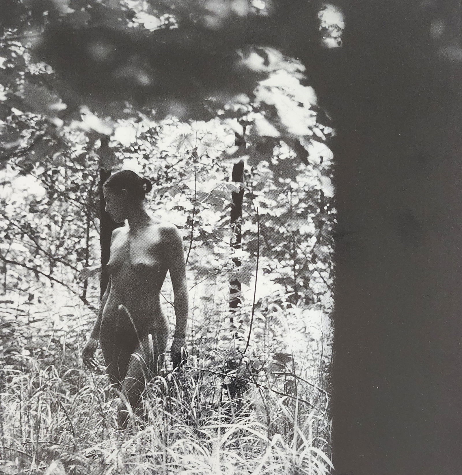 Michael Gnade, Perfect Nude, 1980 (1 of 1)