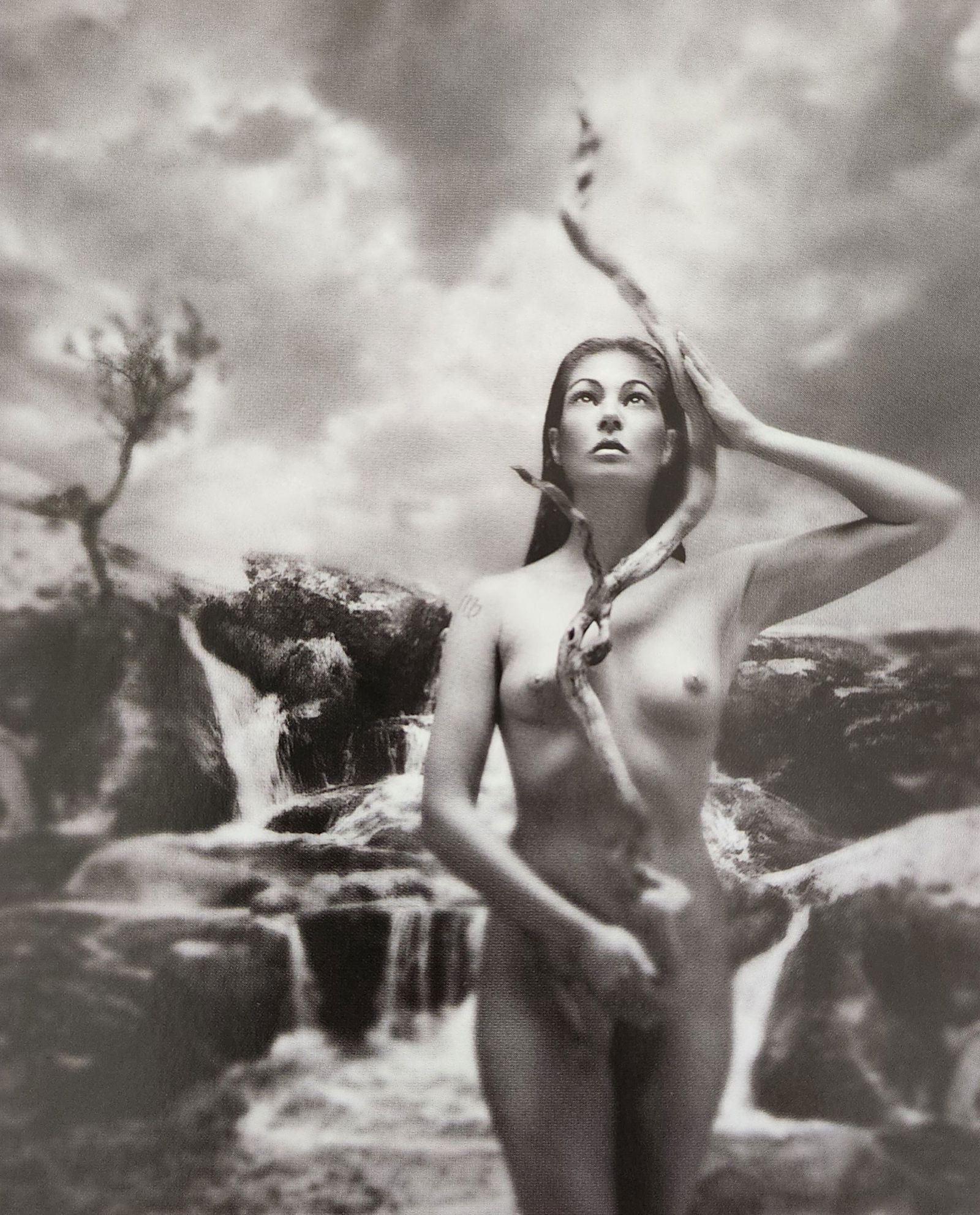 Fantasy Nude, 2003 (1 of 1)