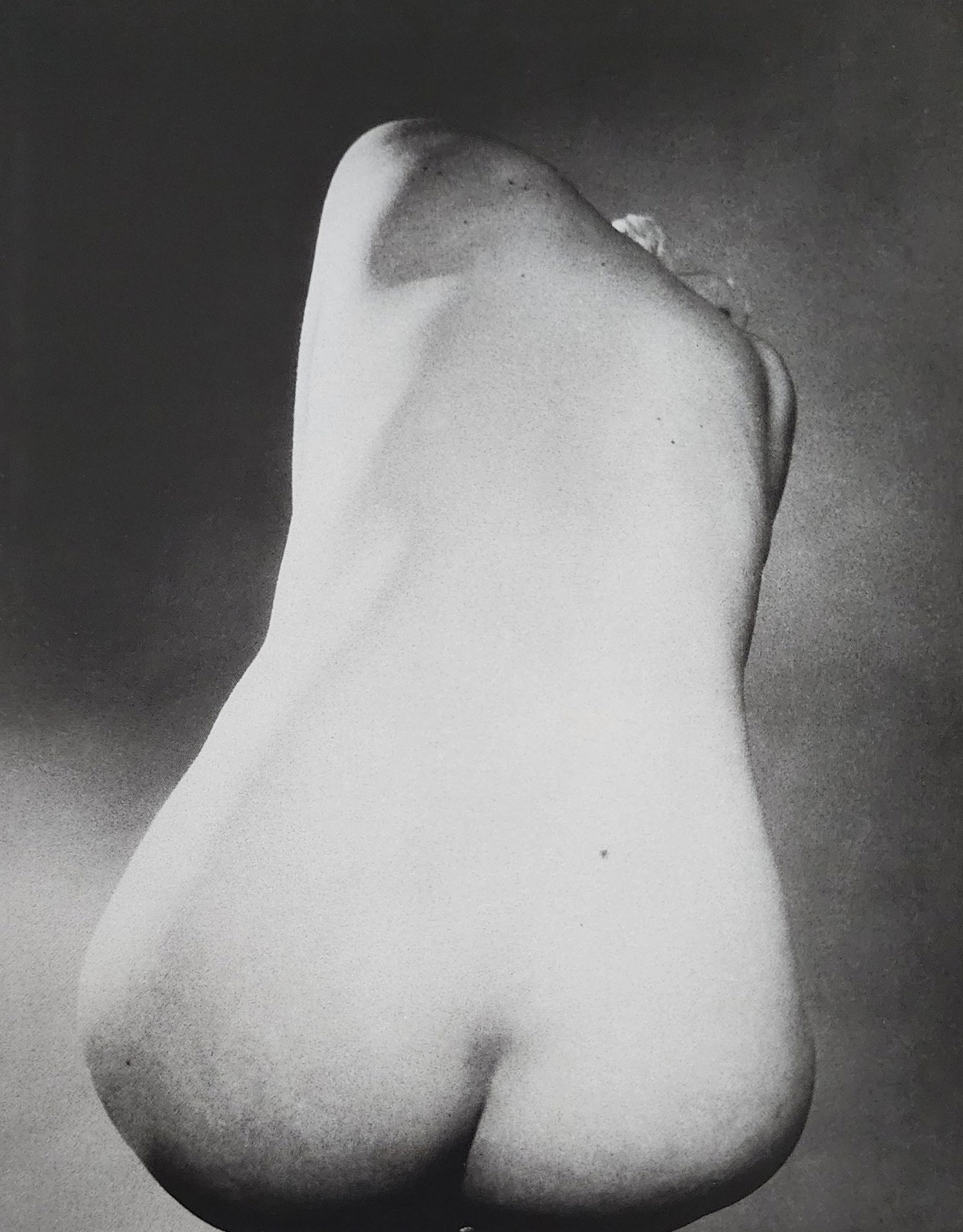 Reality Nude, 2004 (1 of 1)