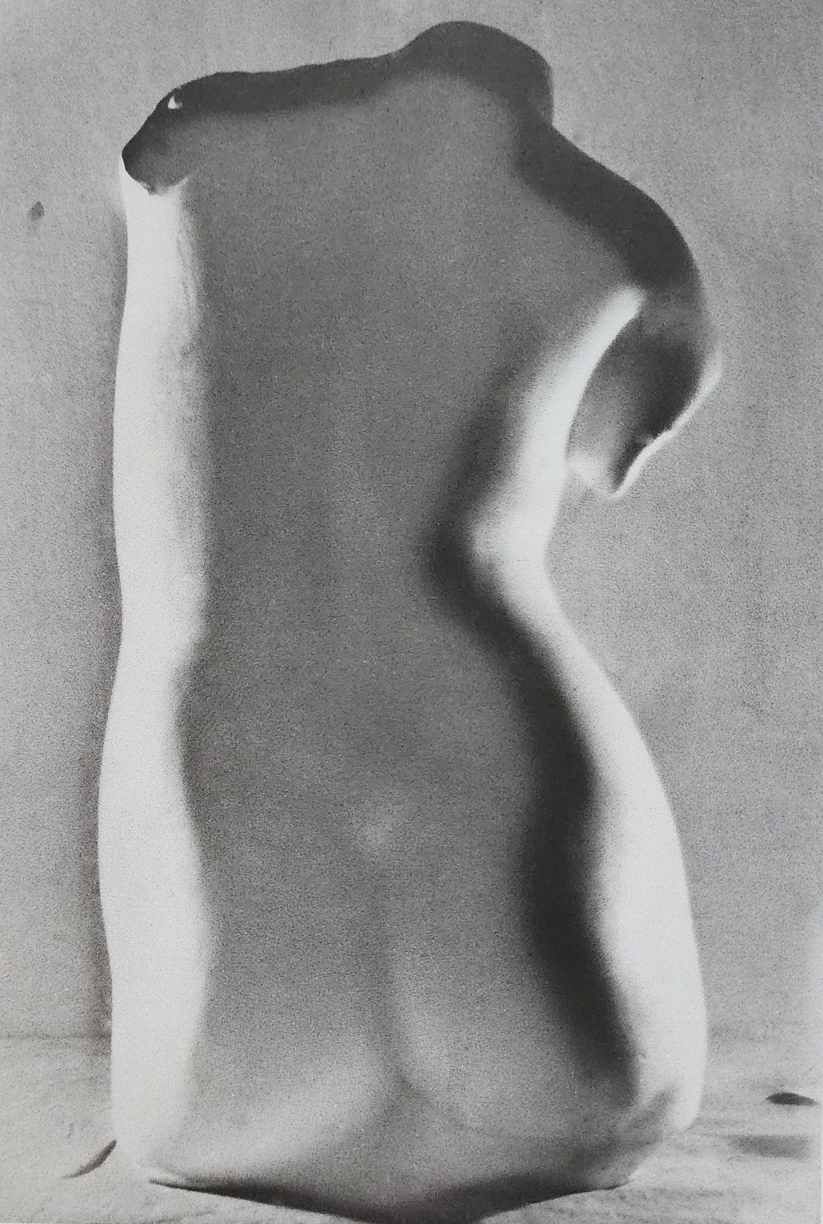 Reality Nude, 2004 (1 of 1)