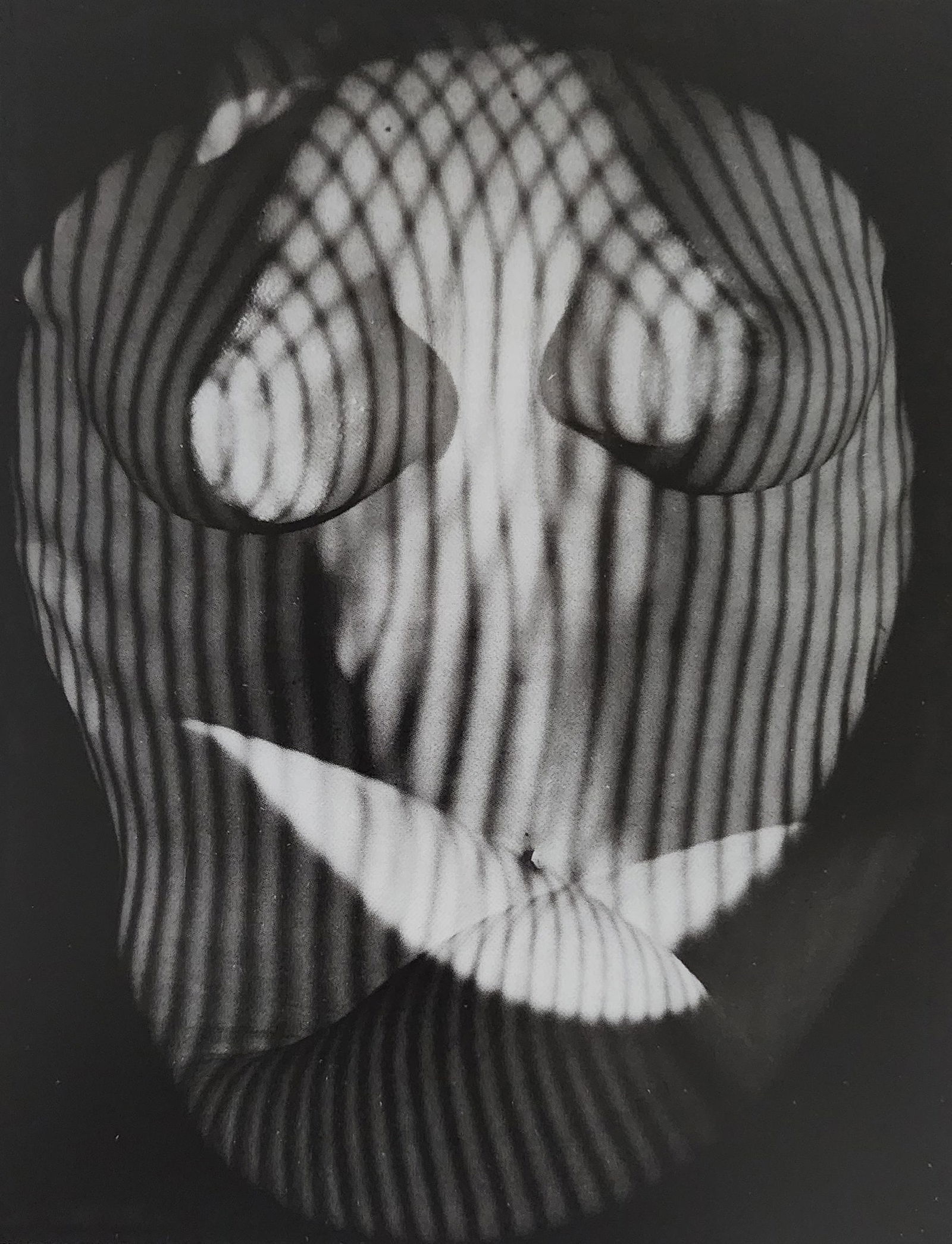 Reality Nude, 2004 (1 of 1)