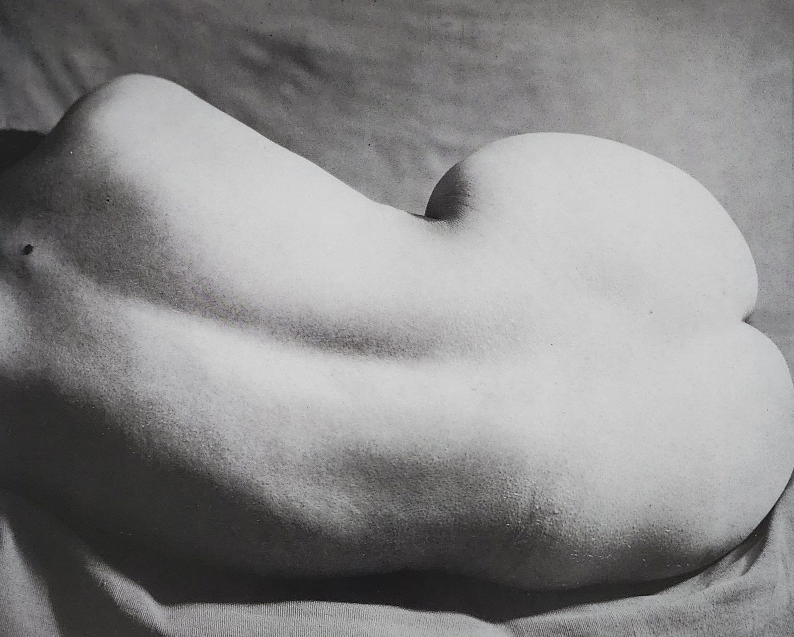 Reality Nude, 2004 (1 of 1)