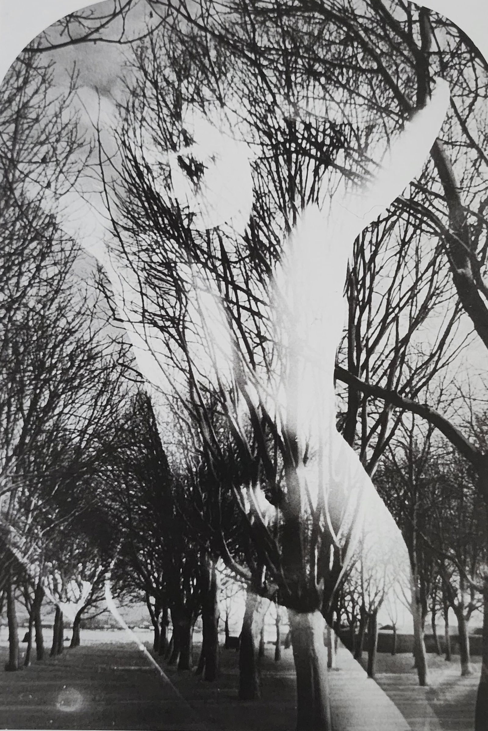 Reality Nude, 2004 (1 of 1)