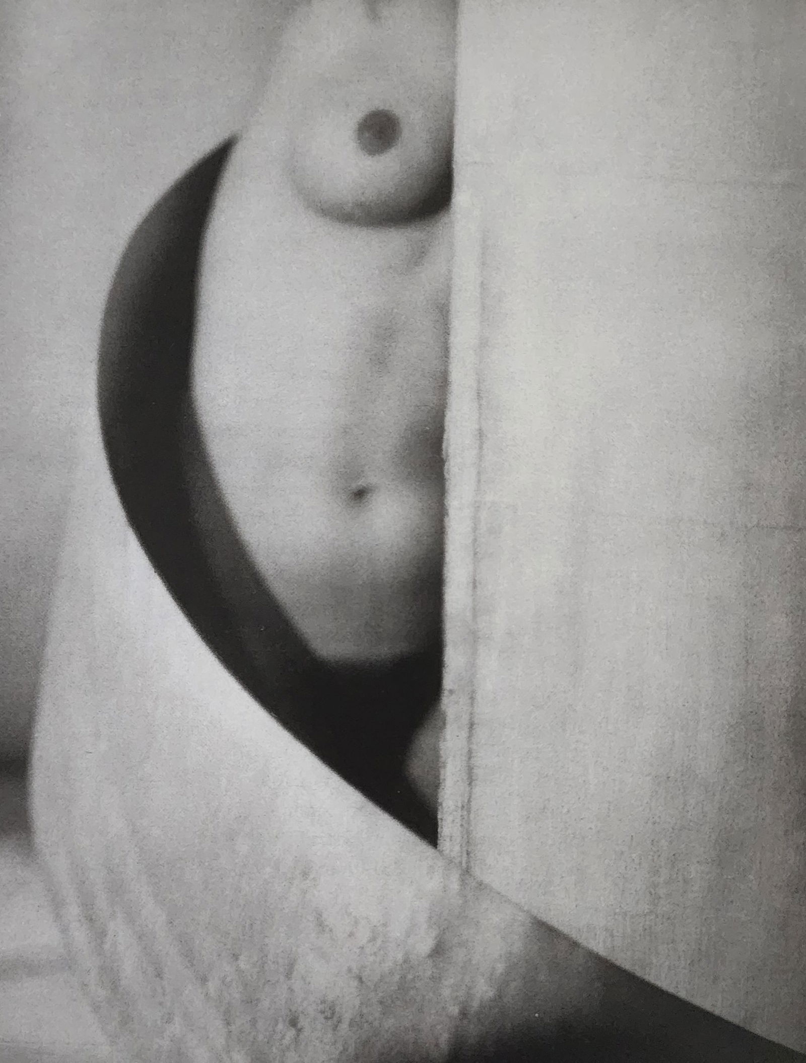 Reality Nude, 2004 (1 of 1)