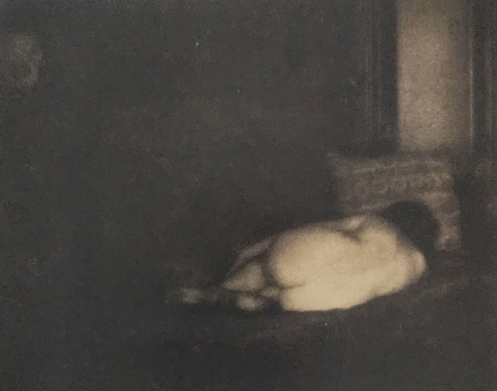 Reality Nude, 2004 (1 of 1)