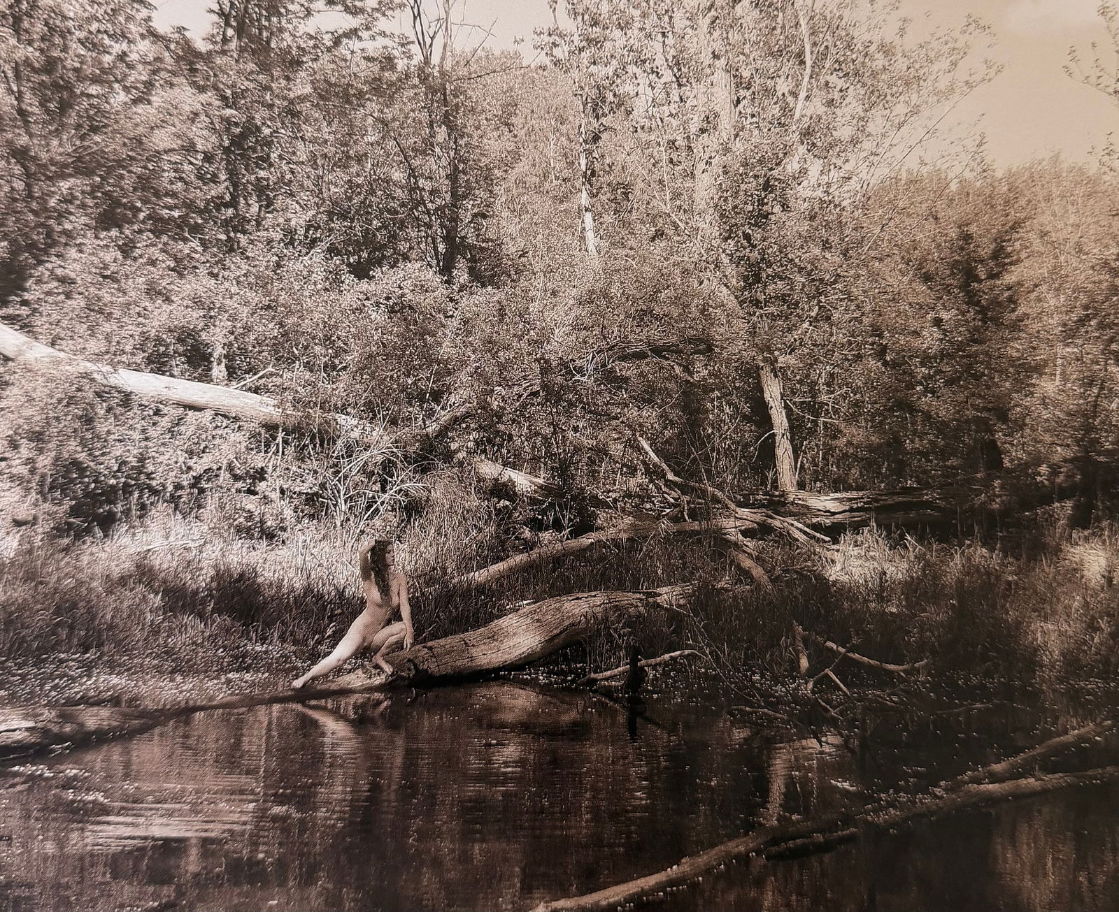 The Beauty of Iowa, 2018 (1 of 1)