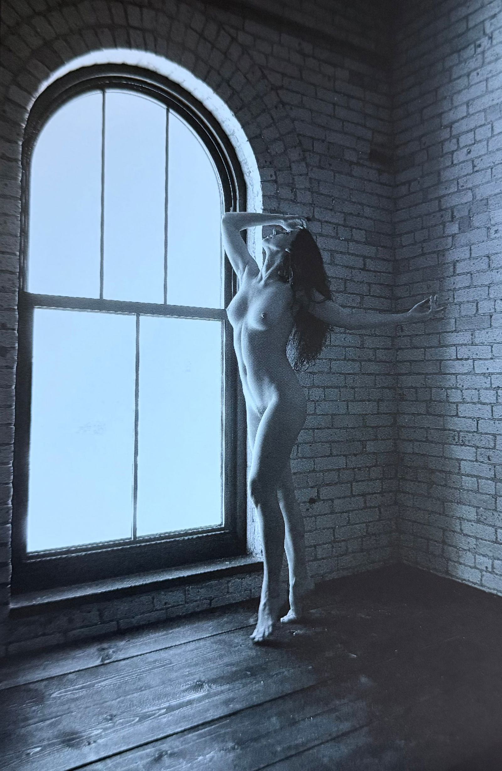 Nudes by the Window, 2012 (1 of 1)