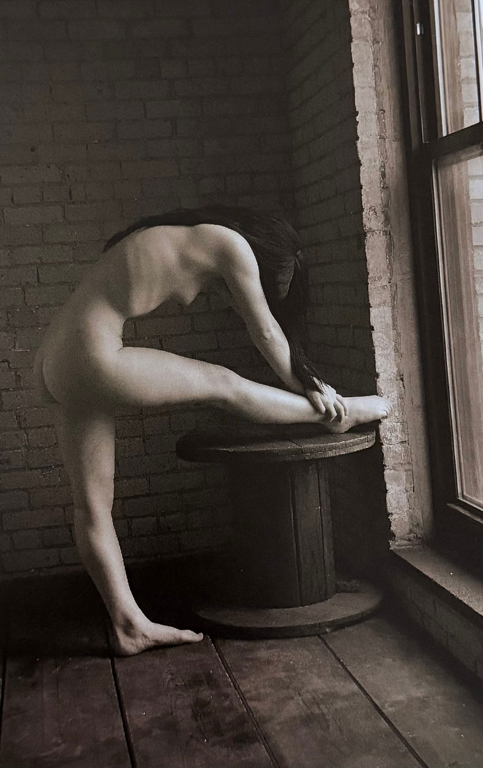 Nudes by the Window, 2012 (1 of 1)