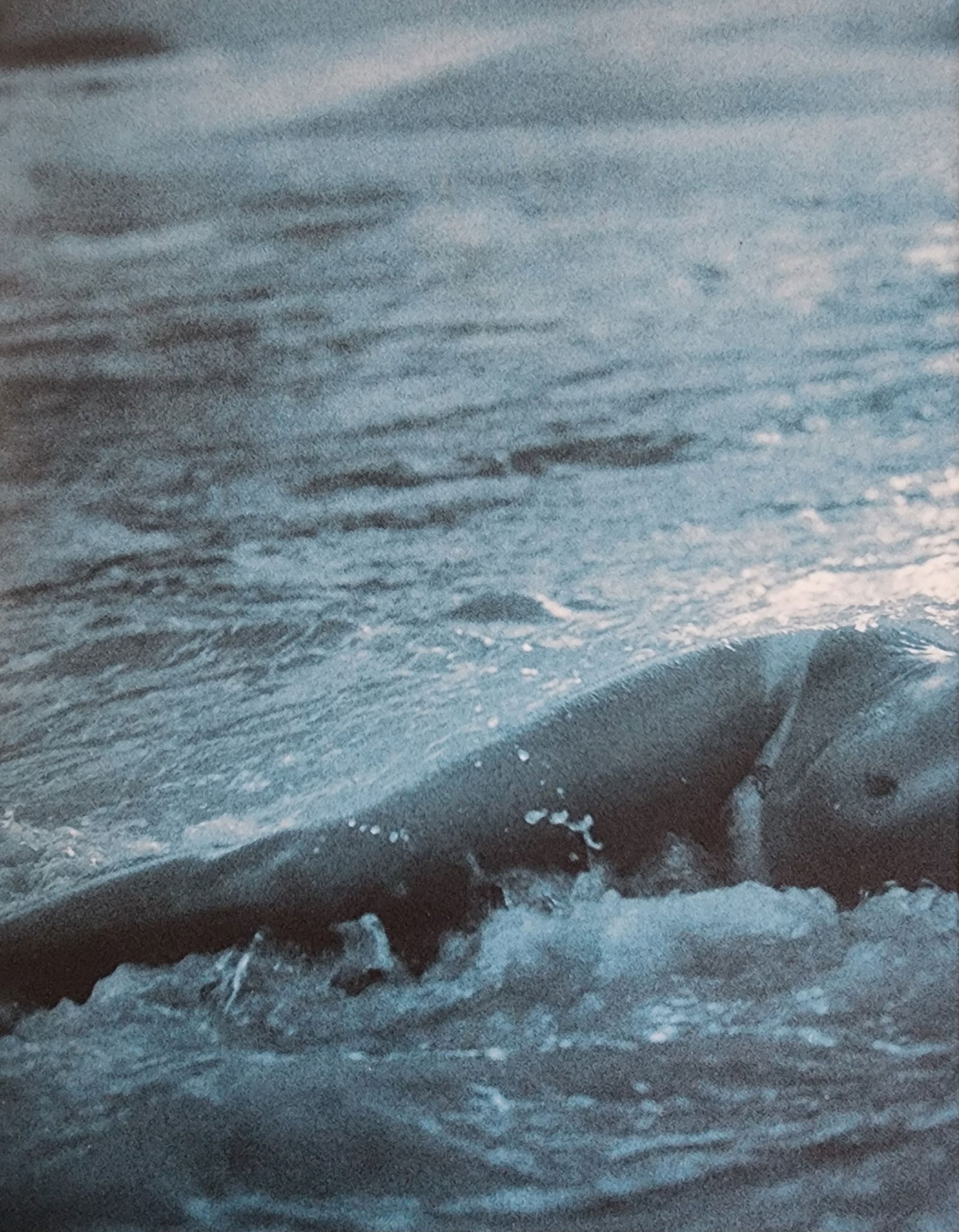 Sante D'Orazio, Celebrities nudes 1st Edition, 2000 (1 of 1)