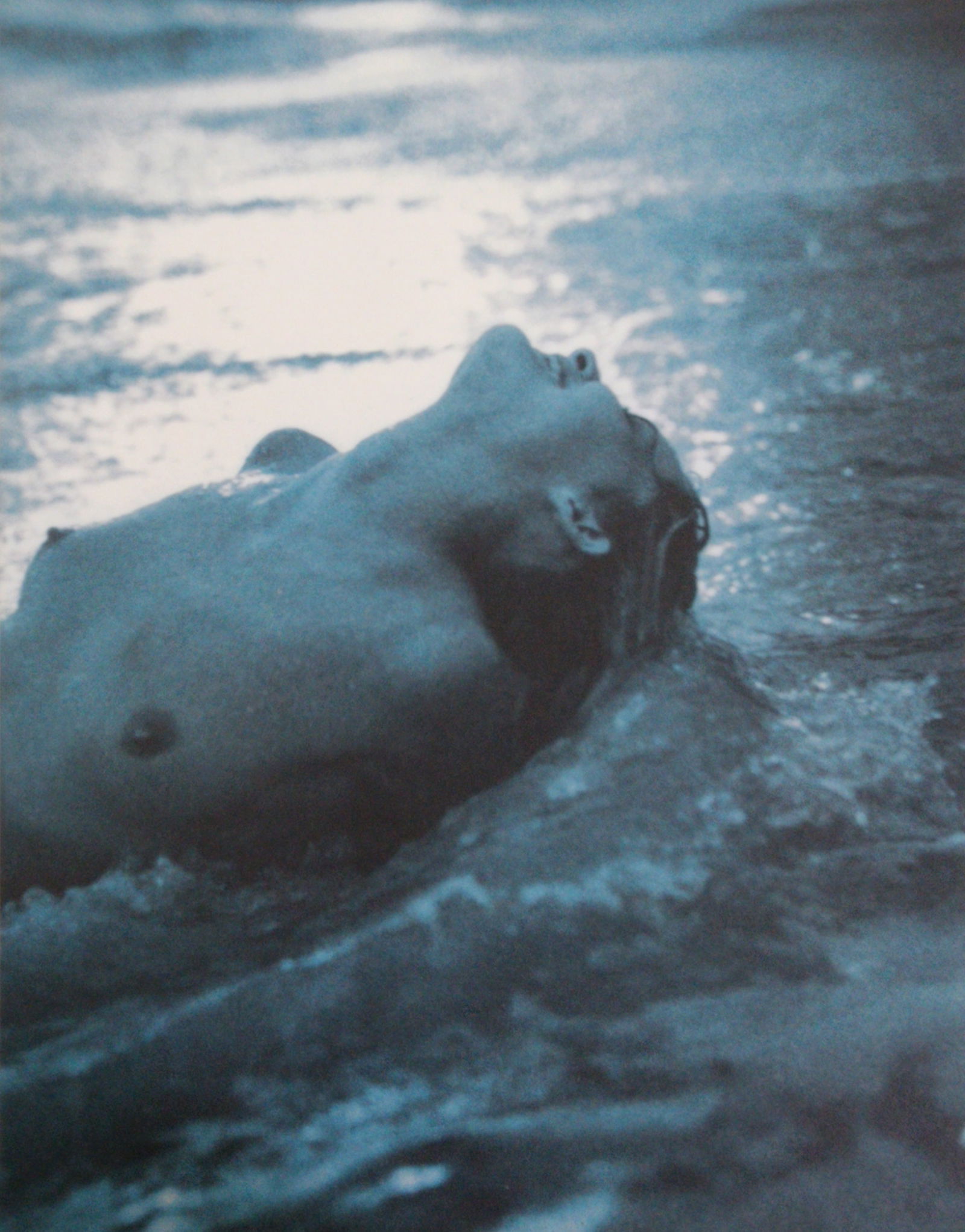 Sante D'Orazio, Celebrities nudes 1st Edition, 2000 (1 of 1)