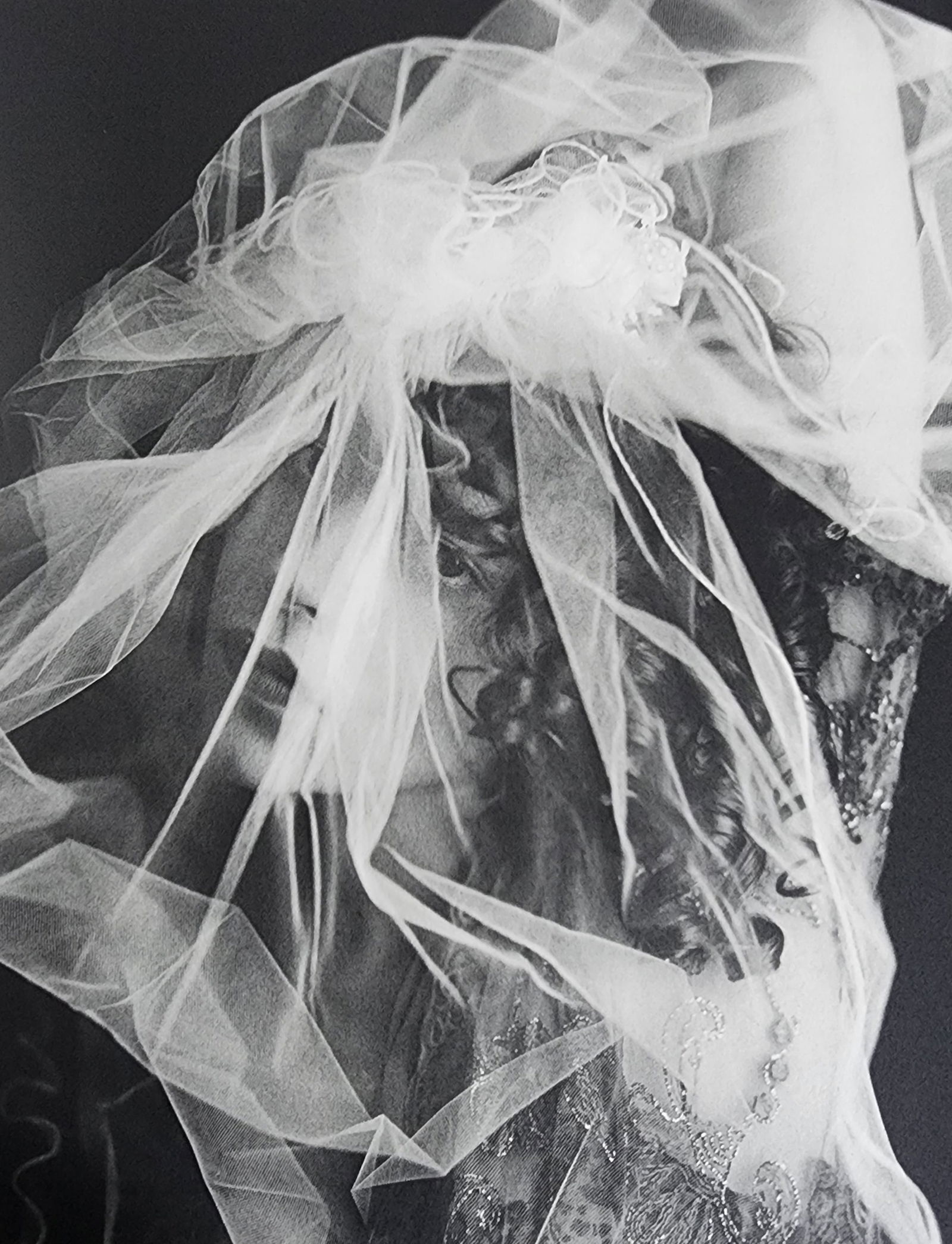 Sante D'Orazio, Celebrities nudes 1st Edition, 2000 (1 of 1)