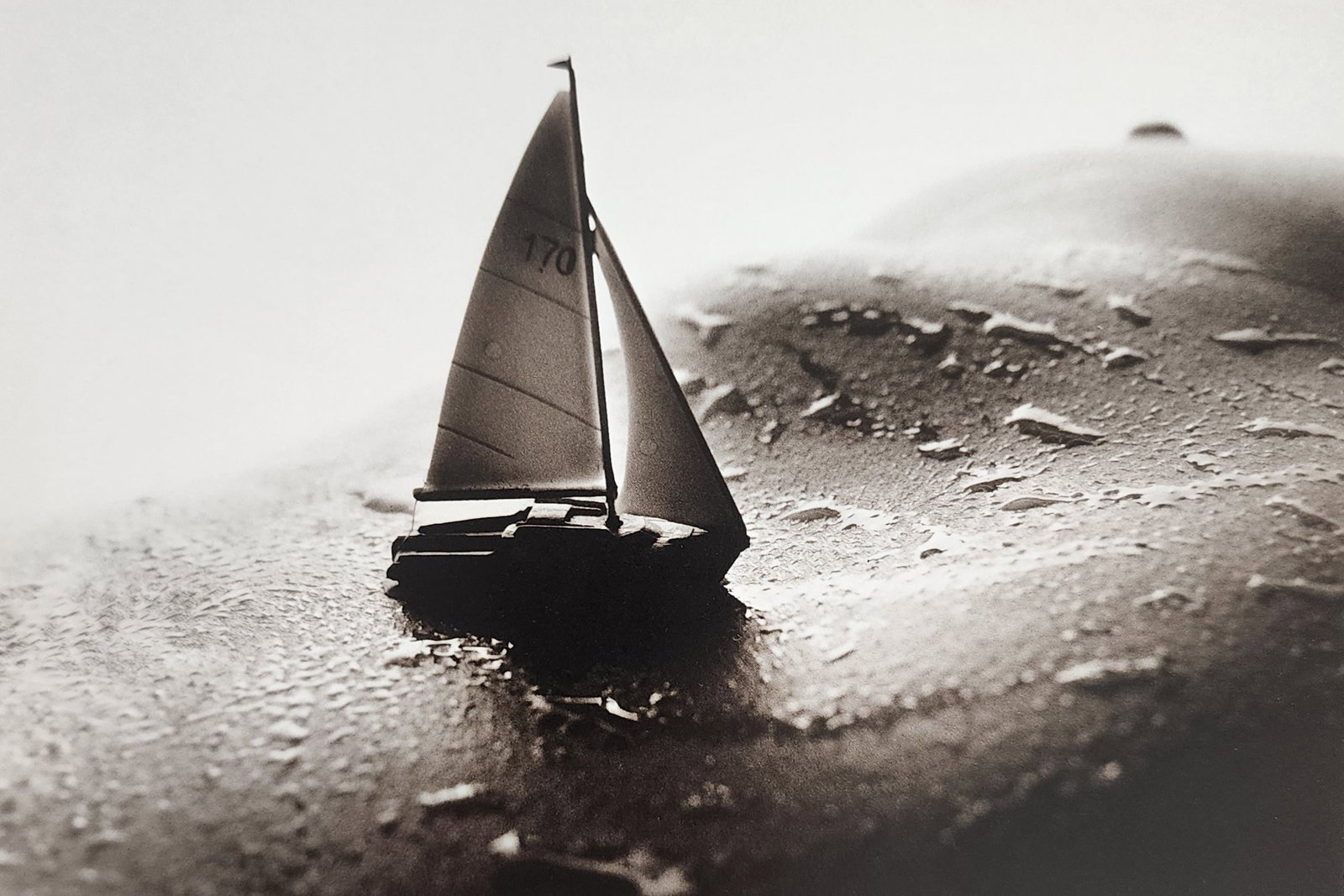 Allan Teger 'Body fantasy' 1995 (1 of 1)