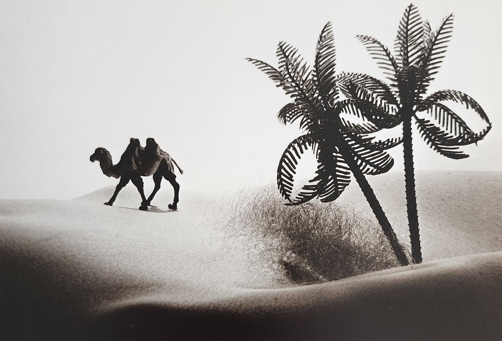 Allan Teger 'Body fantasy' 1995 (1 of 1)