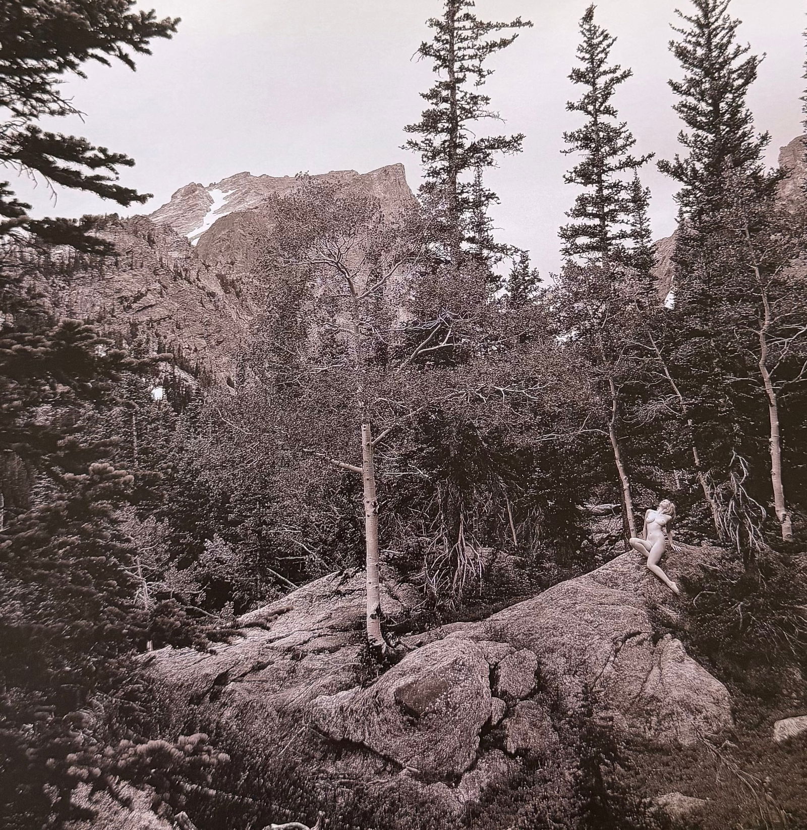 Ray Valentine, Woman in nature, 2000s (1 of 1)