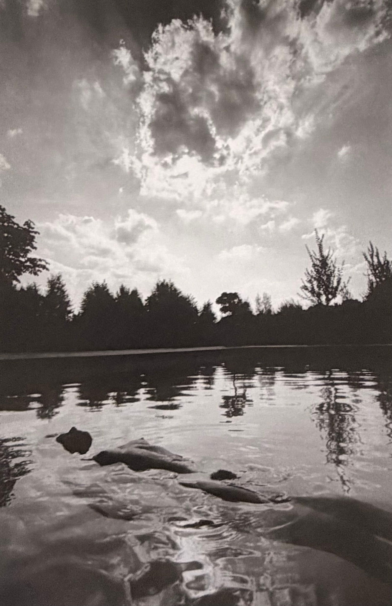 Pascal Baetens, The Art of Nude, 2003 (1 of 1)