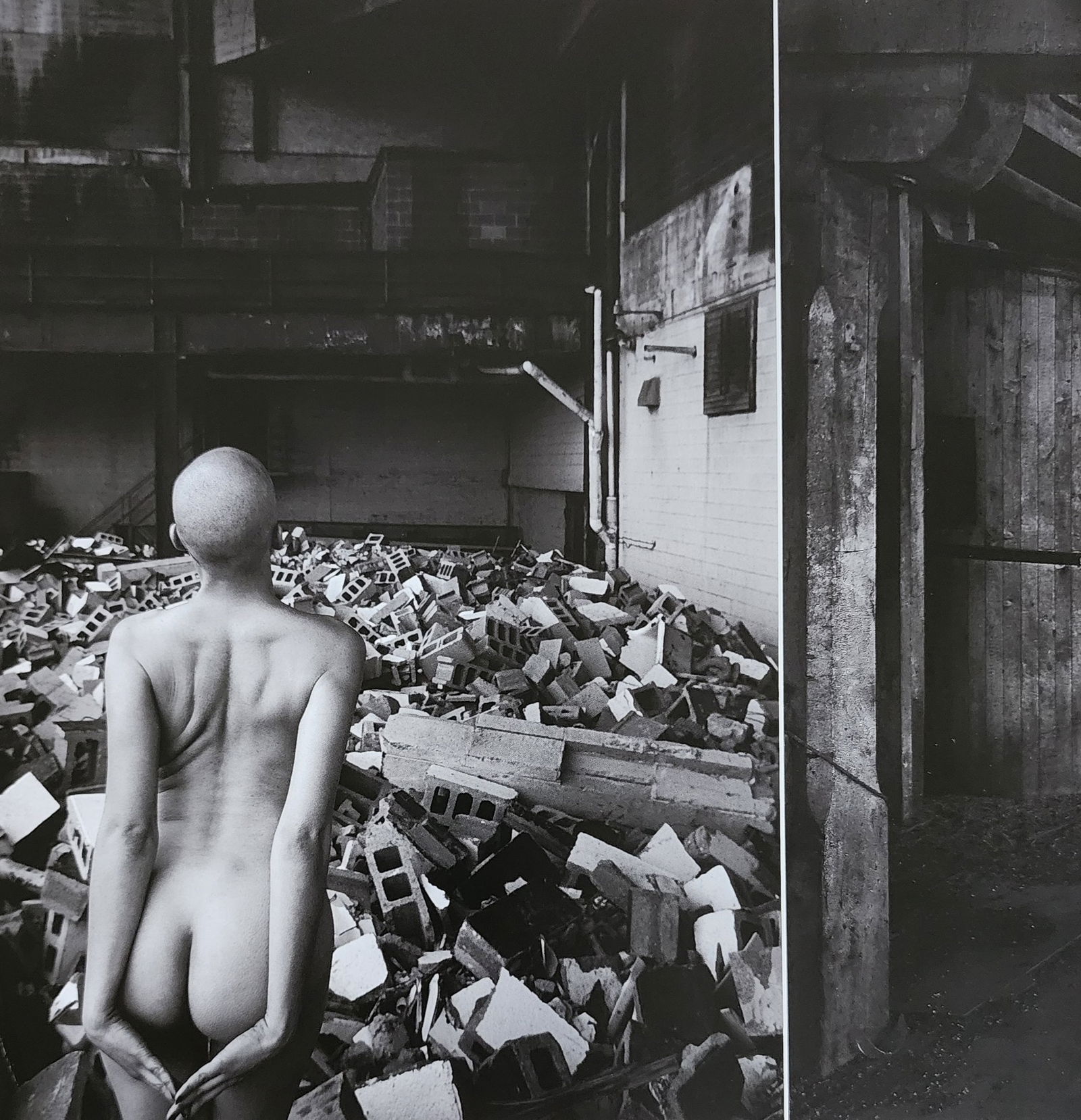 Waldemar Zagorski, Best nude contemporary, 2019 (1 of 1)