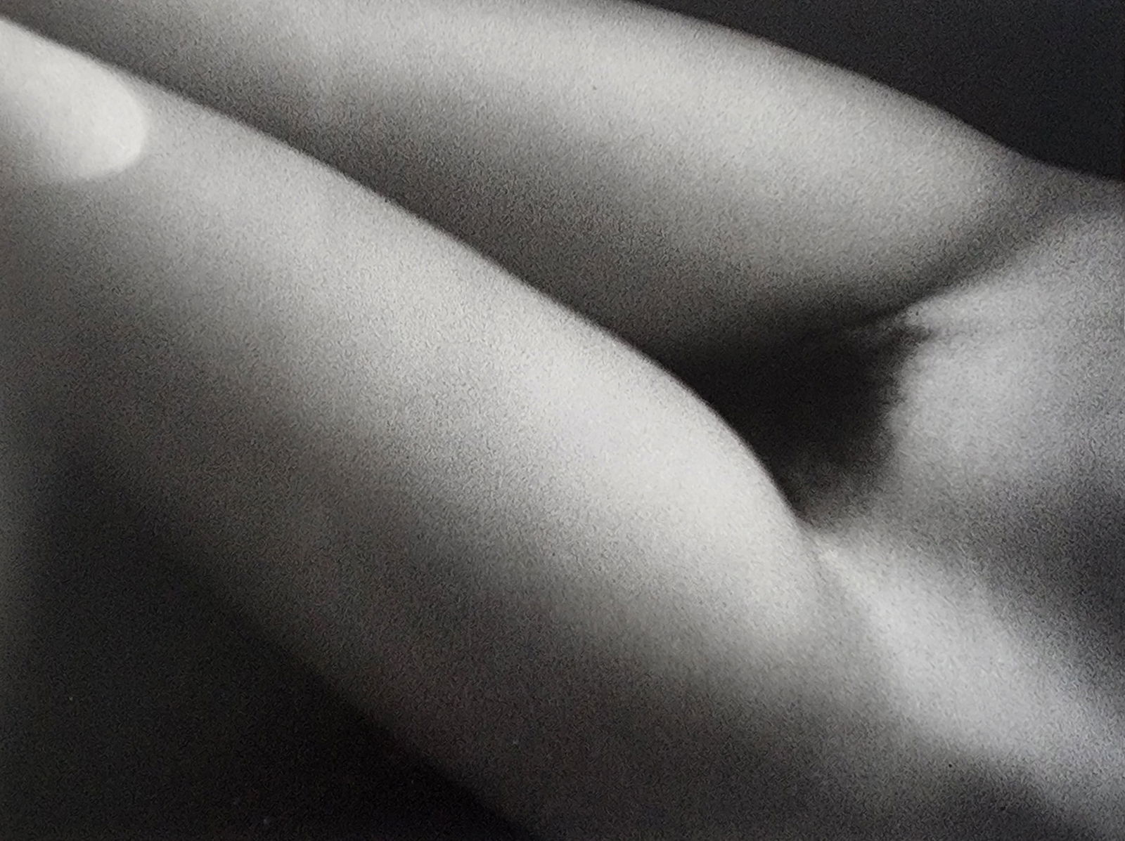 Elegant Nudes and Models, 1995 (1 of 1)