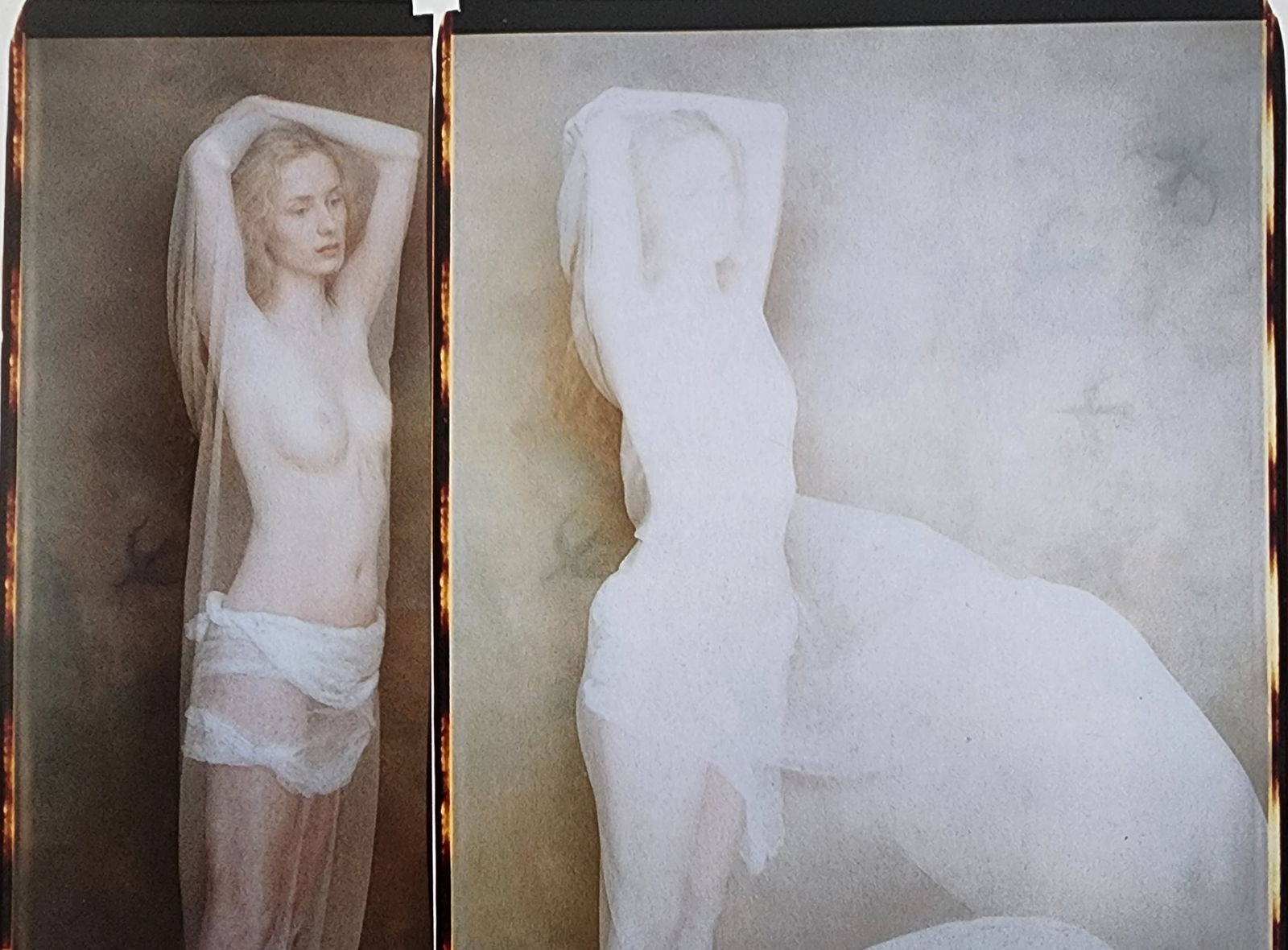 Elegant Nudes and Models, 1995 (1 of 1)