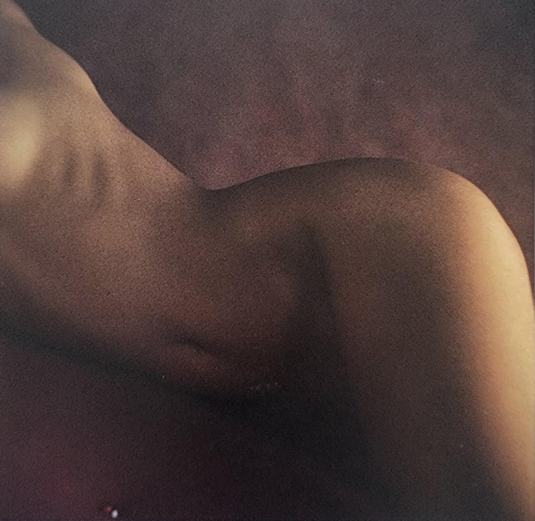 Elegant Nudes and Models, 1995 (1 of 1)