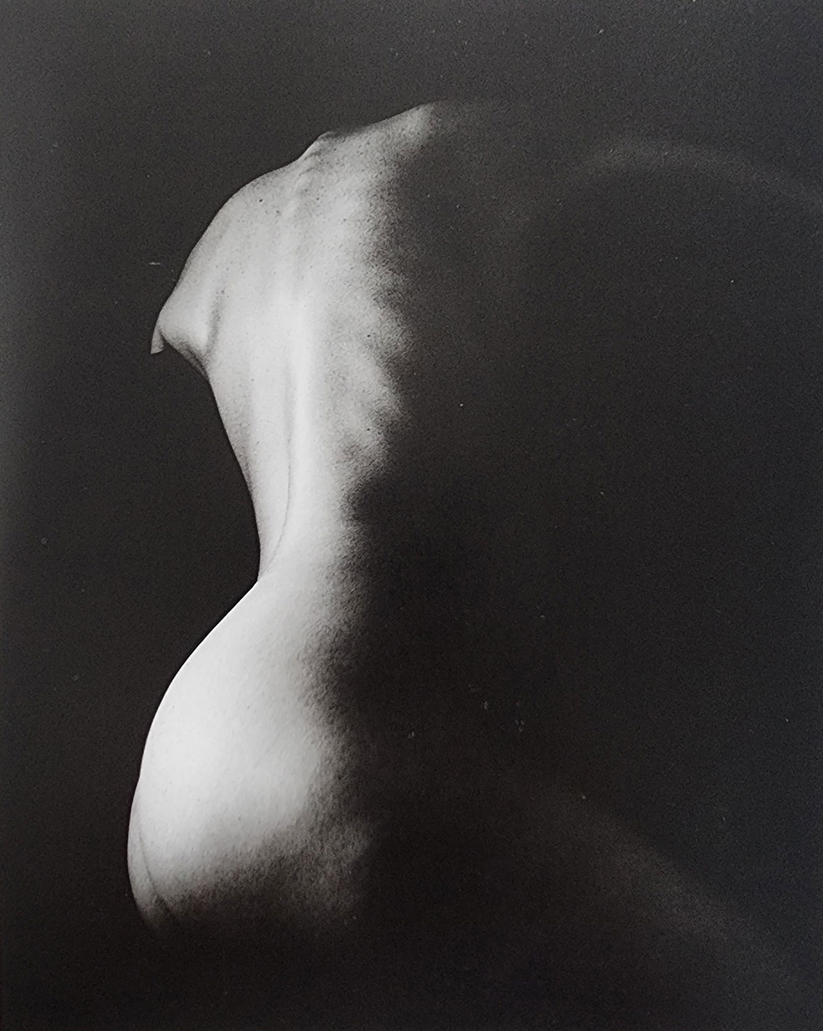 Elegant Nudes and Models, 1995 (1 of 1)