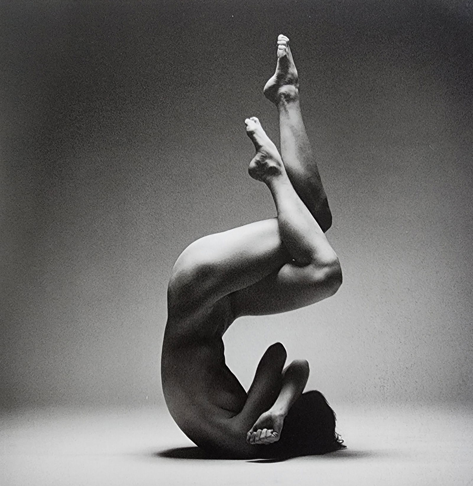 Elegant Nudes and Models, 1995 (1 of 1)