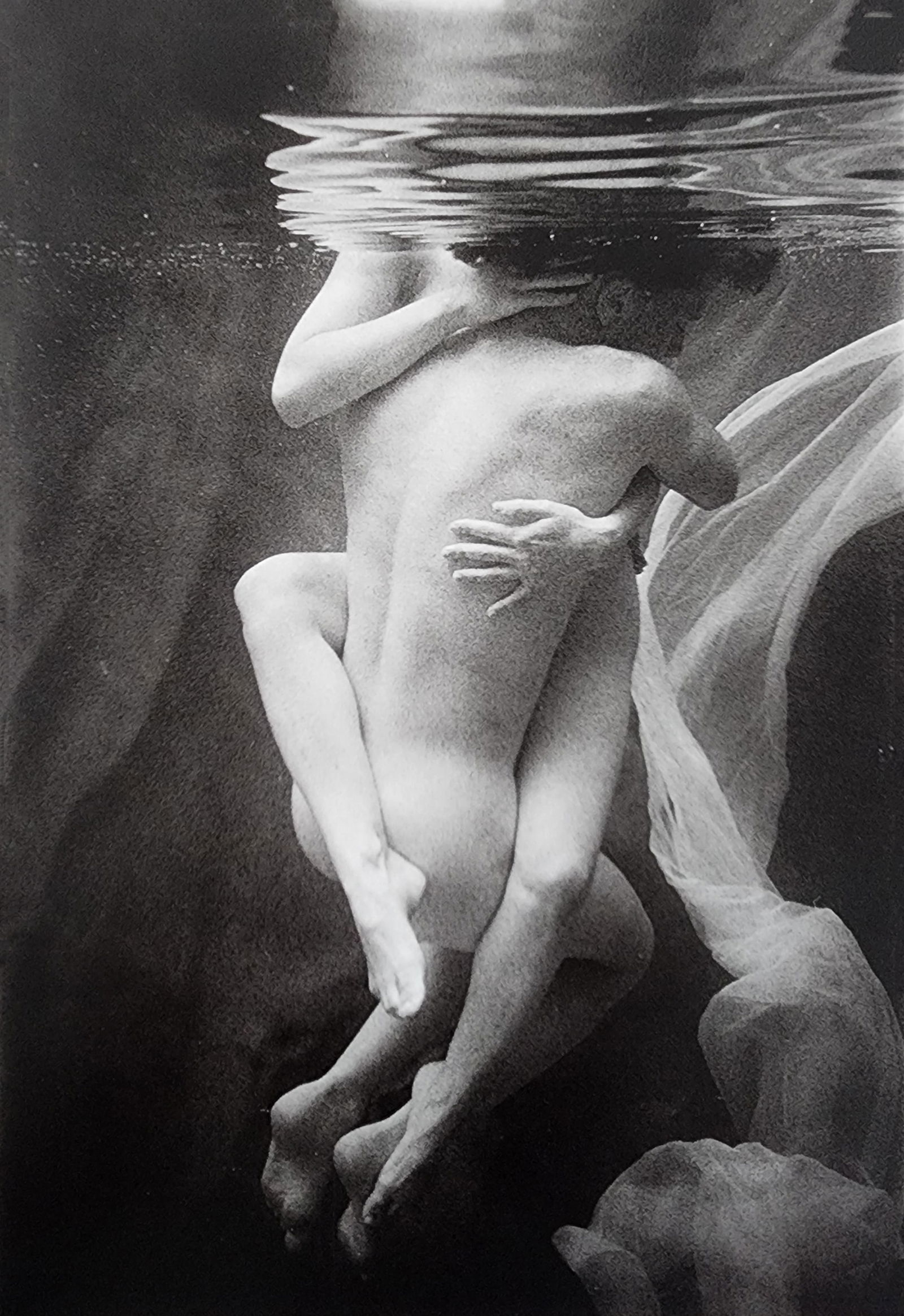 Elegant Nudes and Models, 1995 (1 of 1)