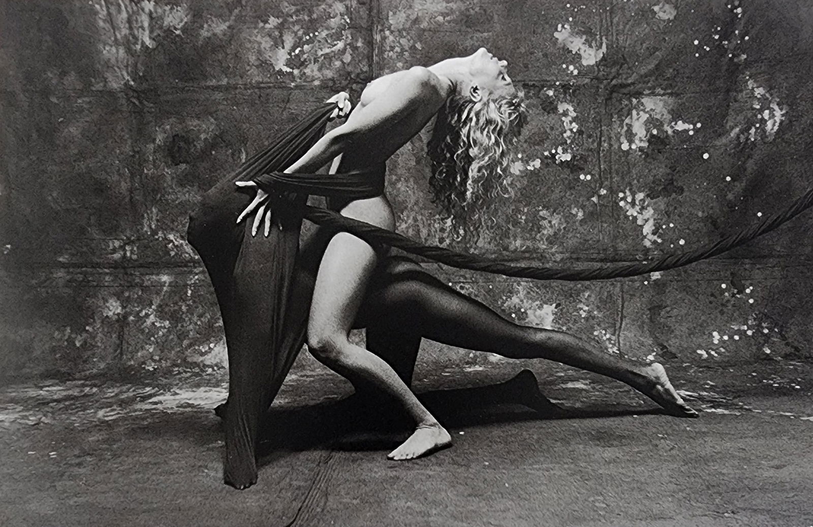 Elegant Nudes and Models, 1995 (1 of 1)