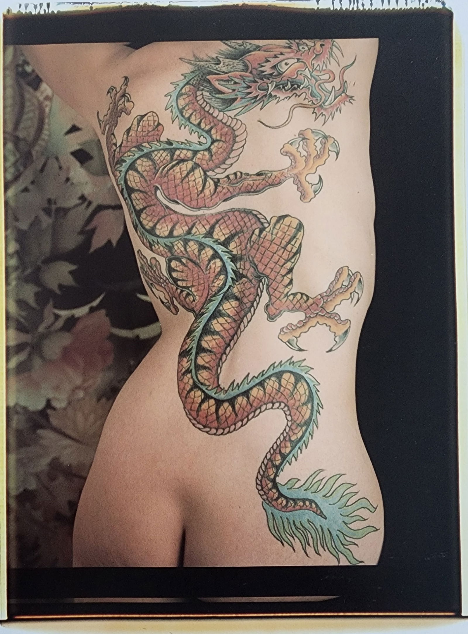 Elegant Nudes and Models, 1995 (1 of 1)