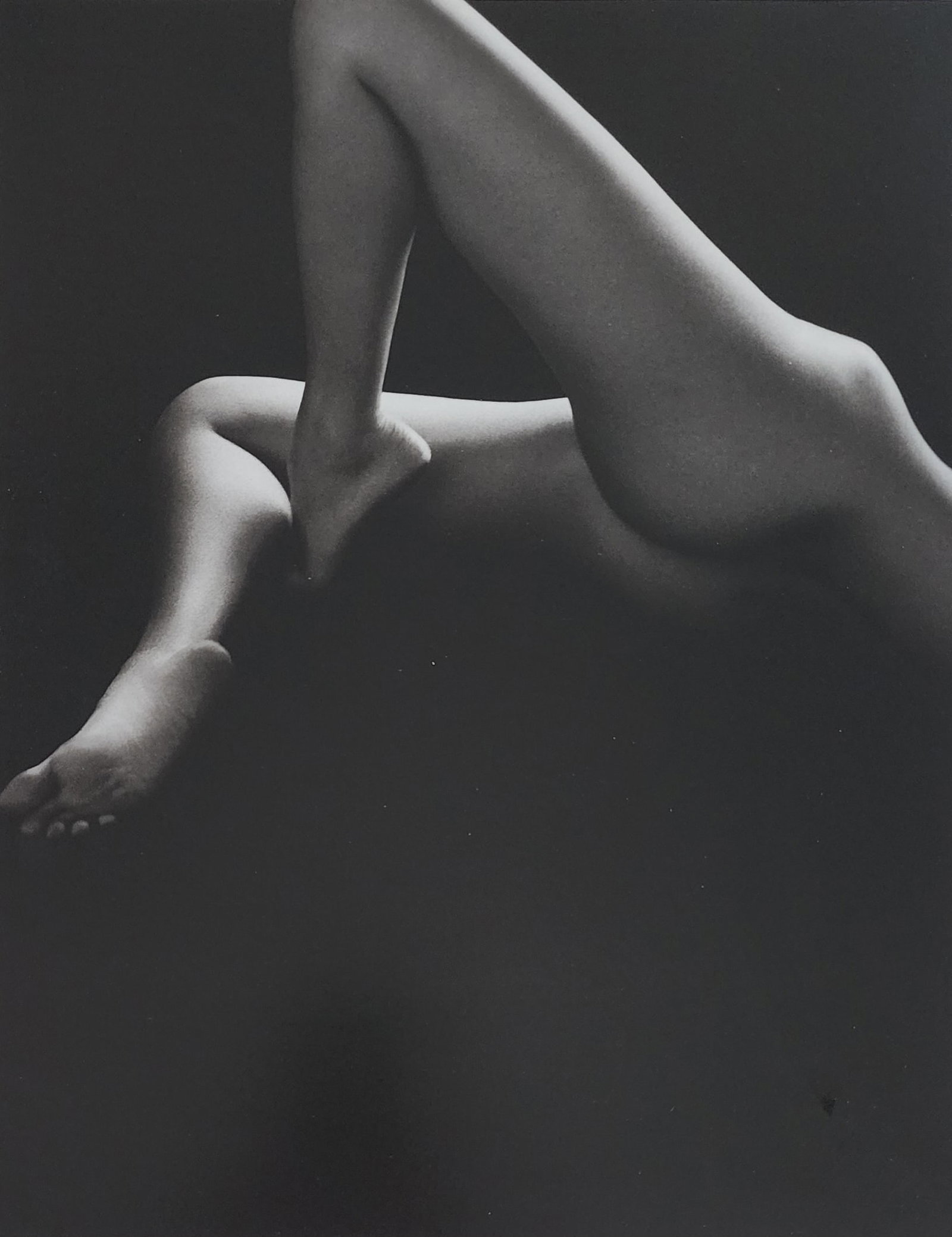 Bruno Bisang, Model Exposure, 2004 (1 of 1)