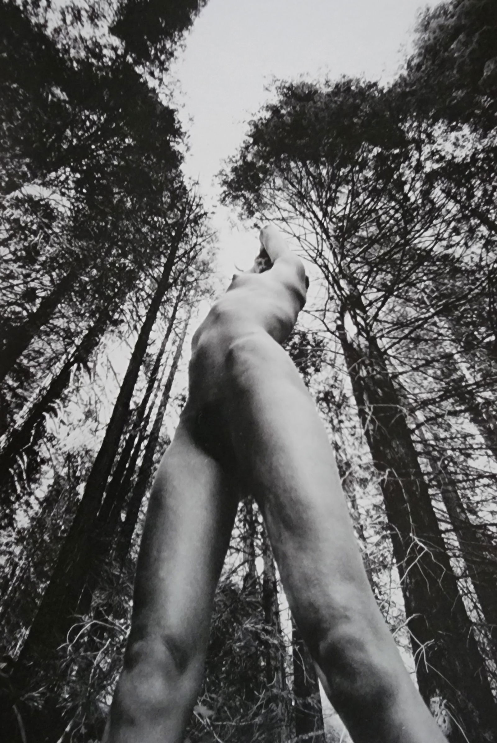Lucien Clergue, 'Alpilles Francaises' 1973: Photographer: Lucien Clergue (France, 1934 - 2014) - renowned French photographer with a diverse body of work, he is perhaps best known for his dynamic female nude studies in and around water which of