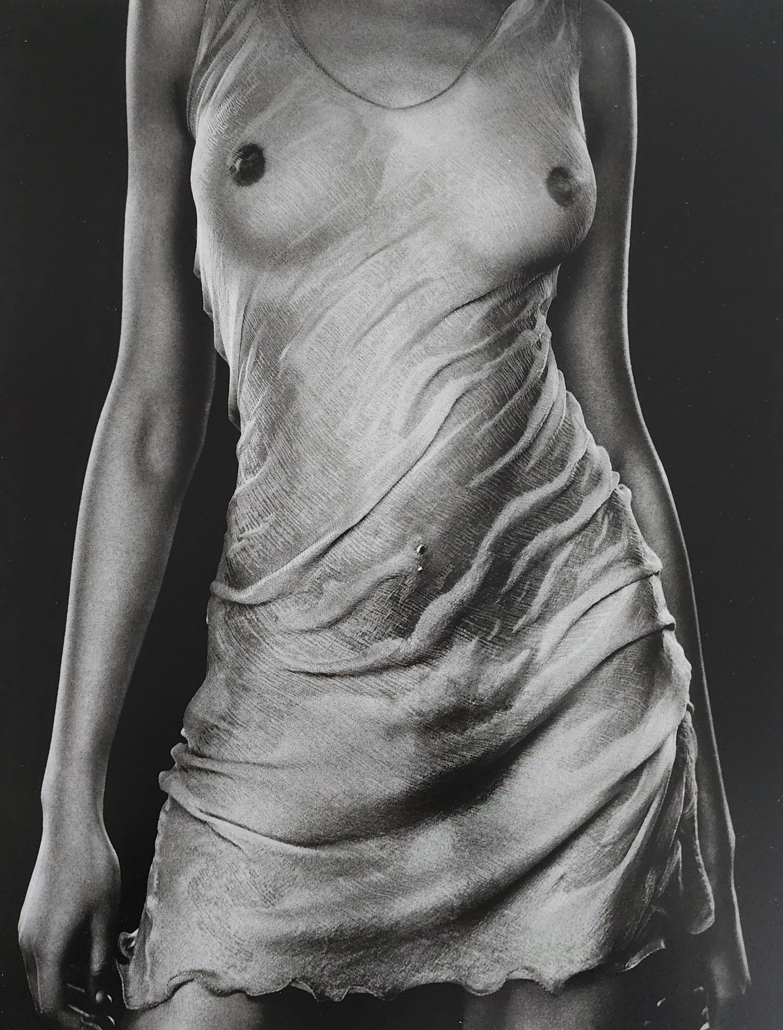 Bruno Bisang, Model Exposure, 2004 (1 of 1)