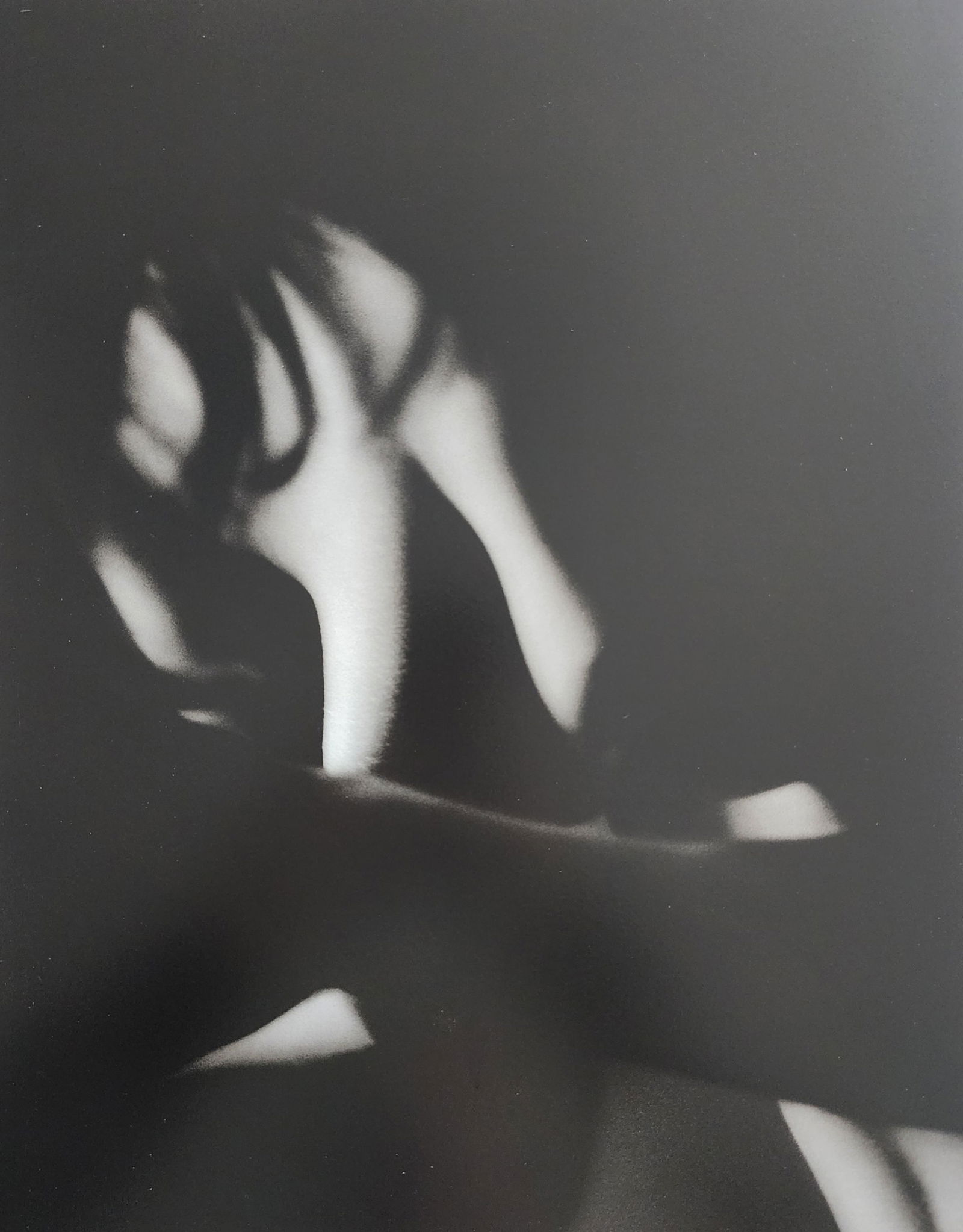 Bruno Bisang, Model Exposure, 2004 (1 of 1)