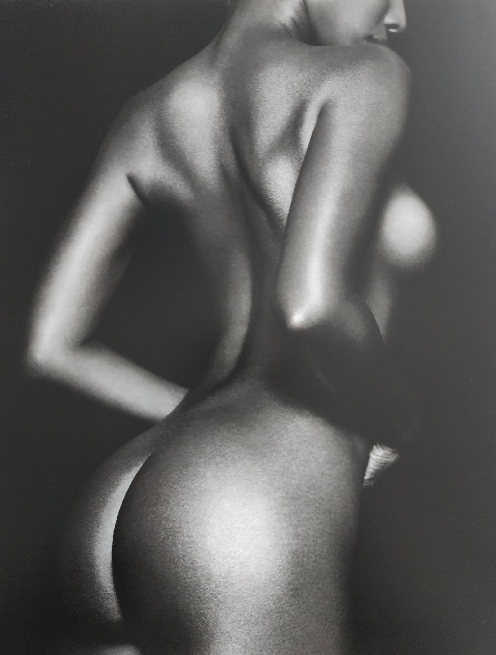 Bruno Bisang, Model Exposure, 2004 (1 of 1)