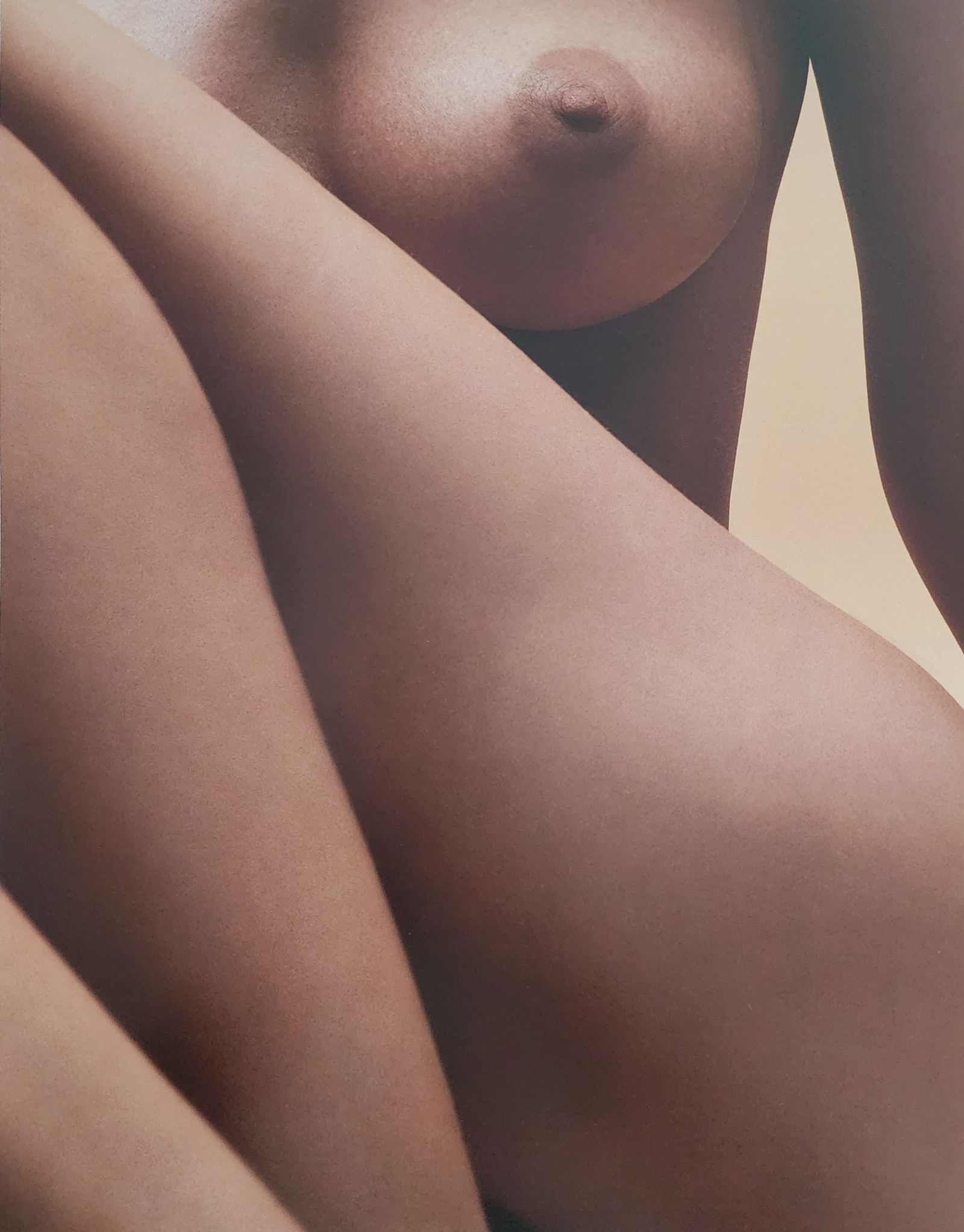 Bruno Bisang, Model Exposure, 2004 (1 of 1)