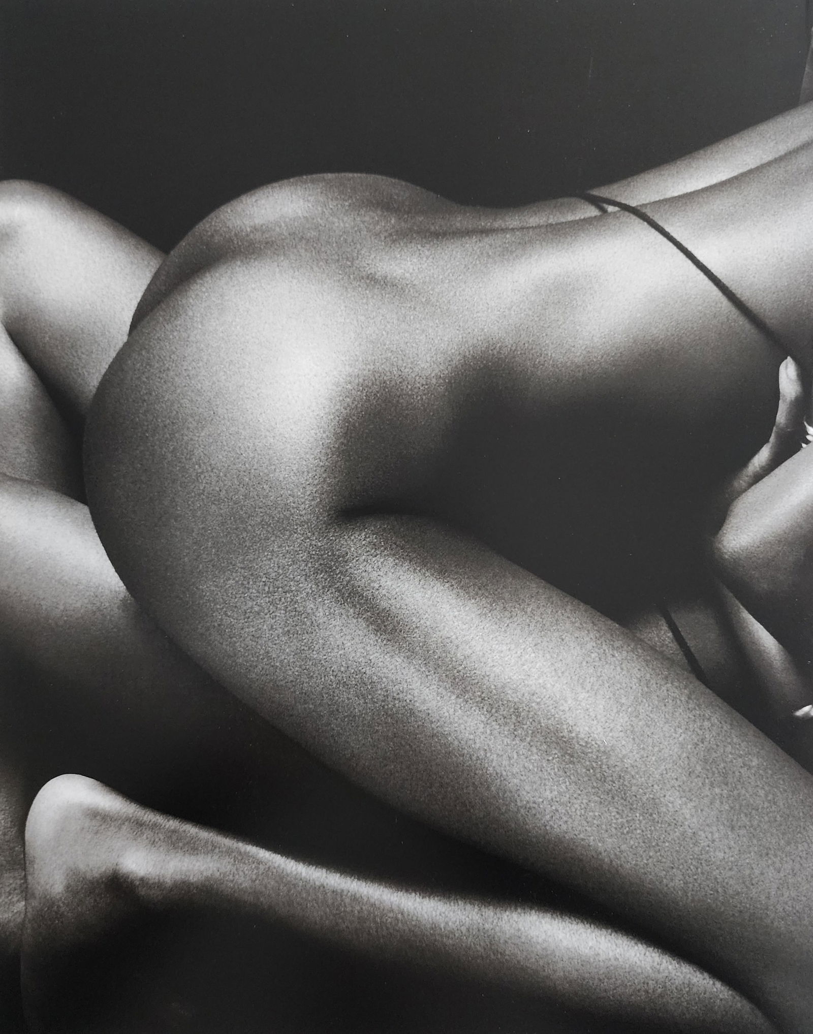 Bruno Bisang, Model Exposure, 2004 (1 of 1)