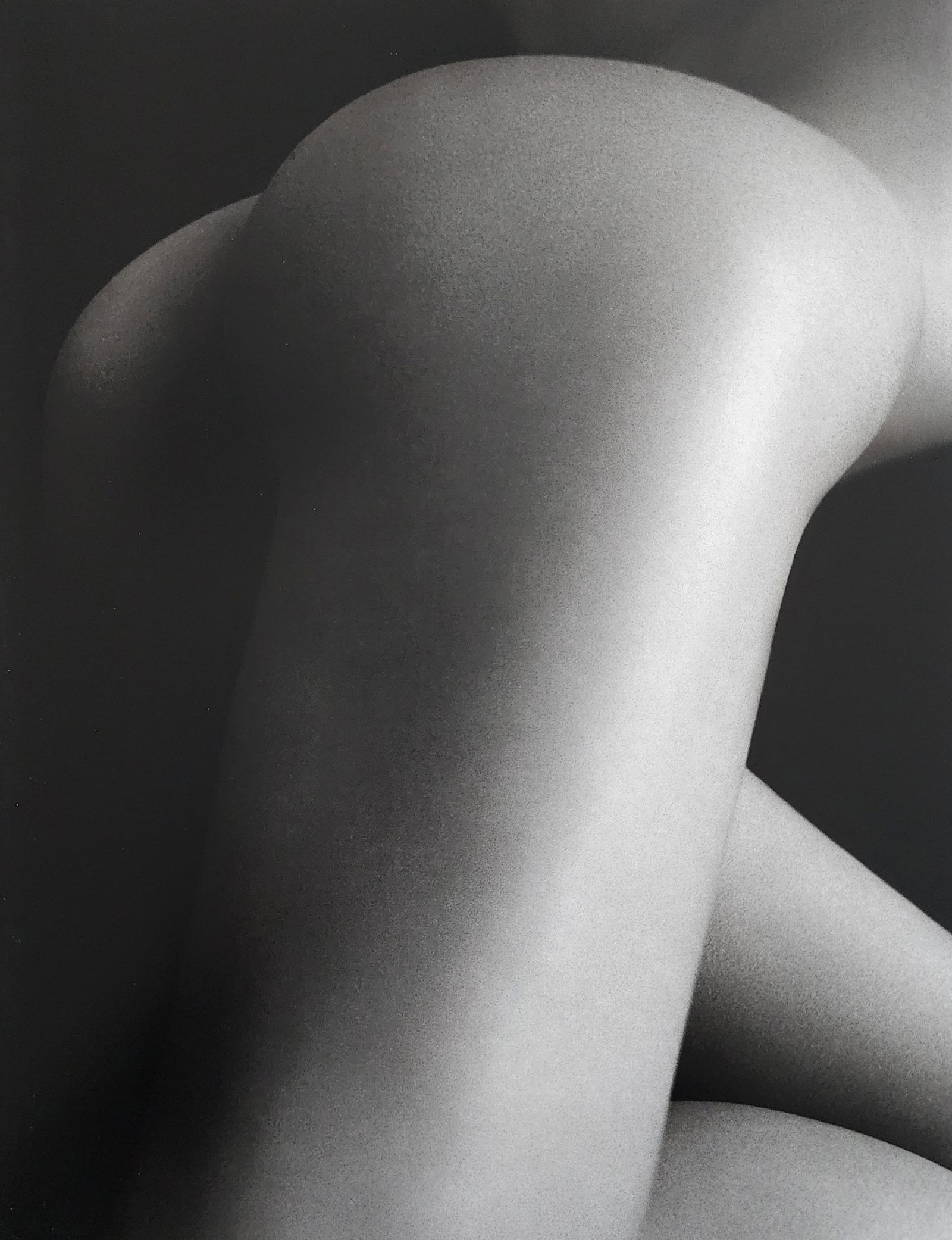 Bruno Bisang, Model Exposure, 2004 (1 of 1)