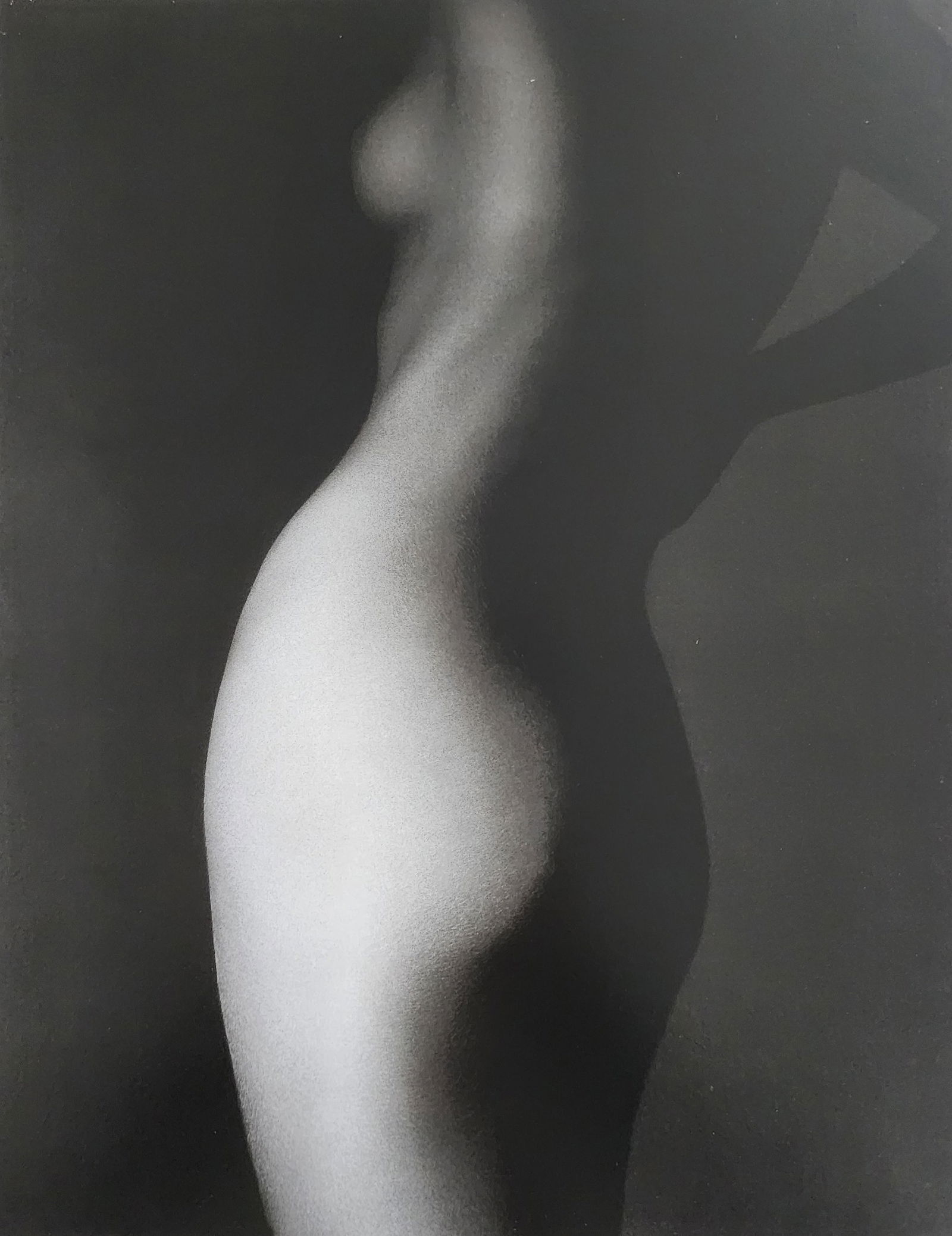 Bruno Bisang, Model Exposure, 2004 (1 of 1)