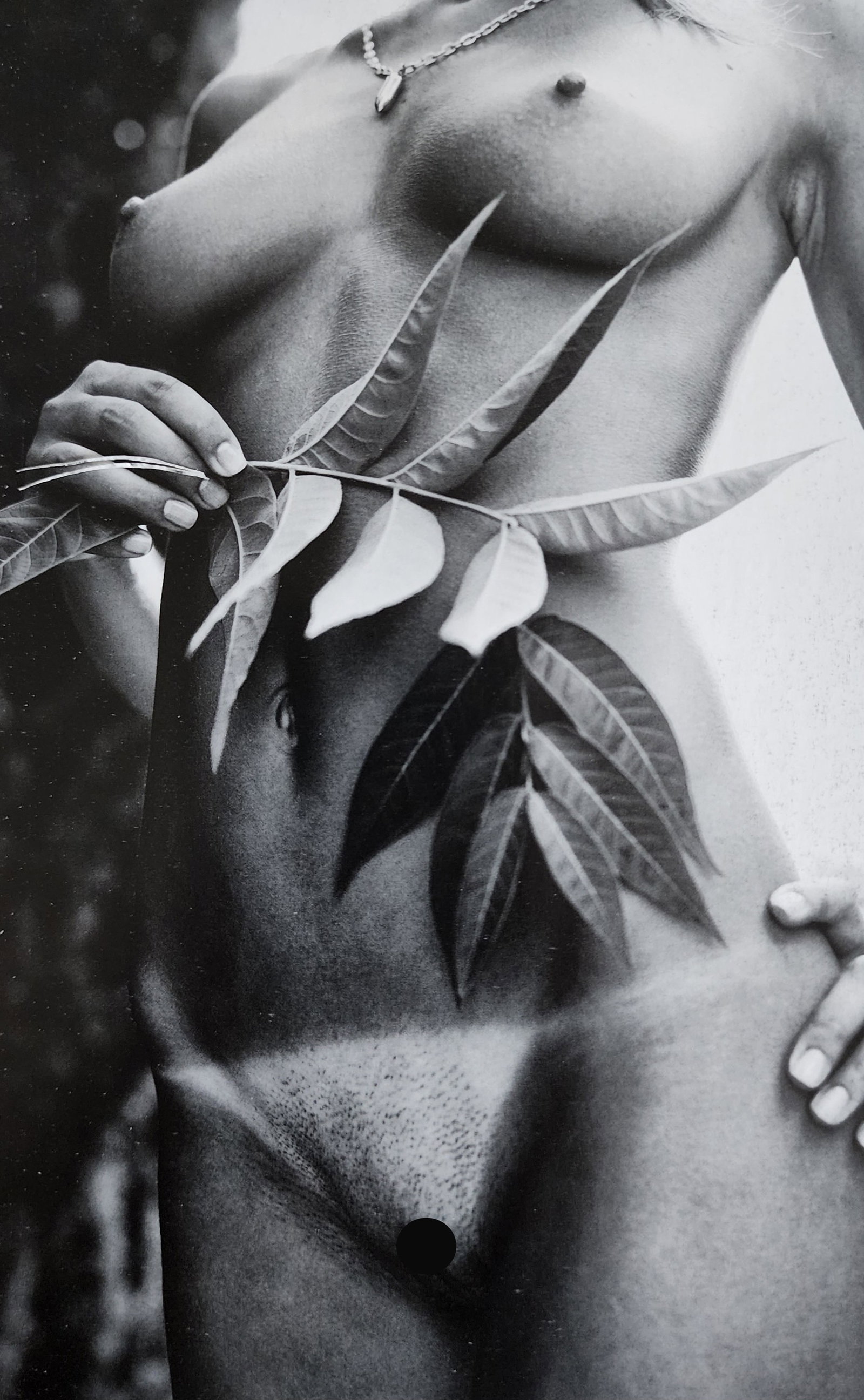 Mikhail Paramonov, Beautiful Lolitas, 2013 (1 of 1)