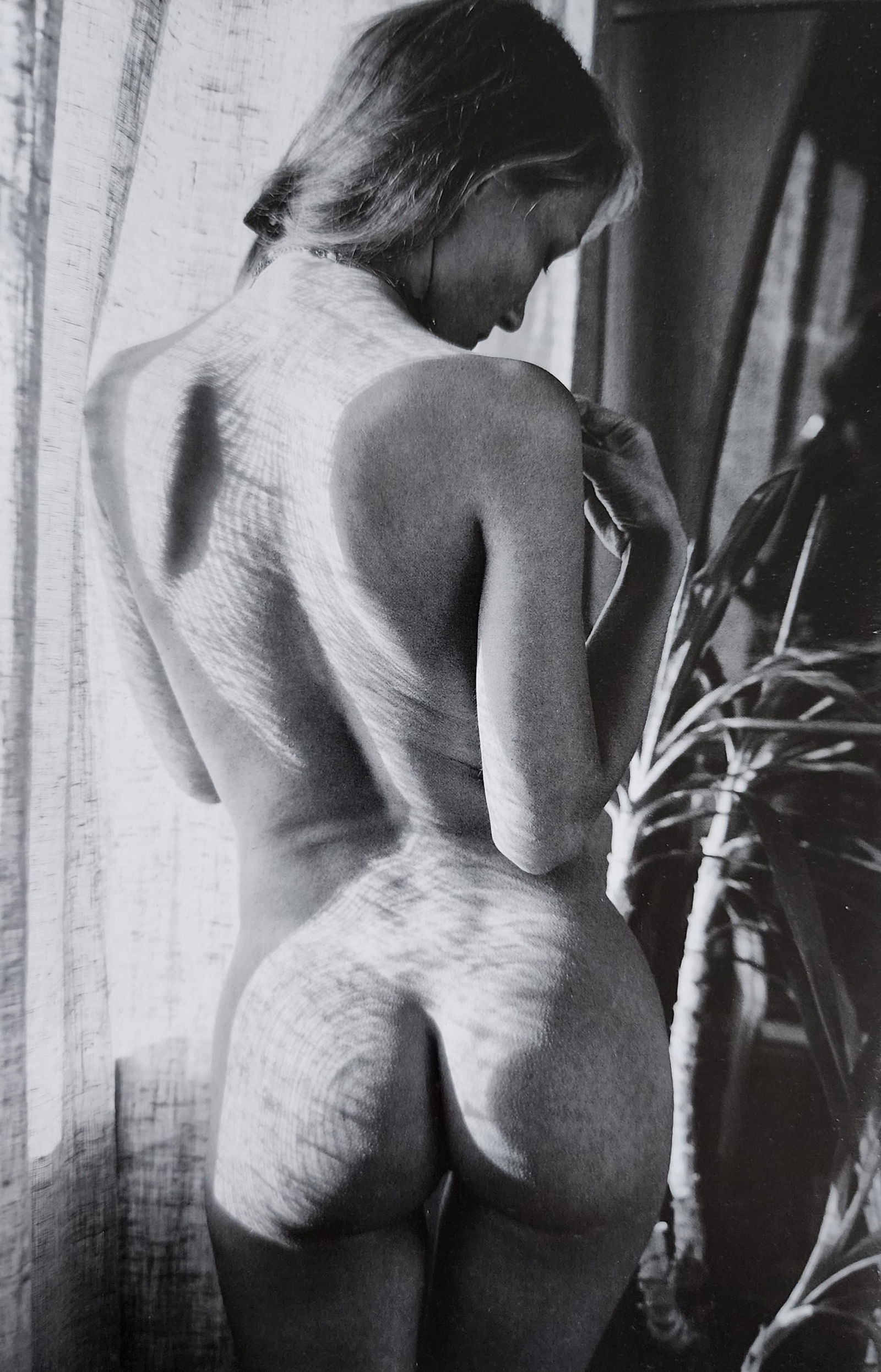 Mikhail Paramonov, Beautiful Lolitas, 2013 (1 of 1)