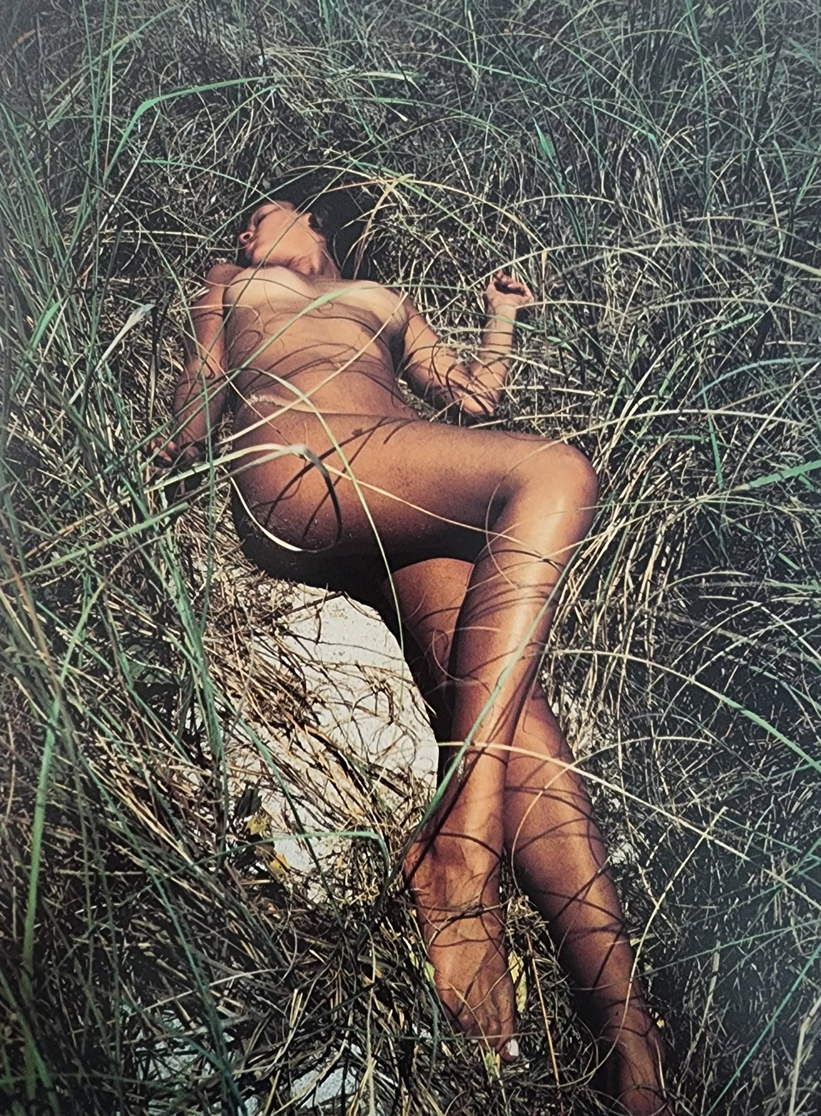 Beautiful by Marc Baptiste 2001 (1 of 1)